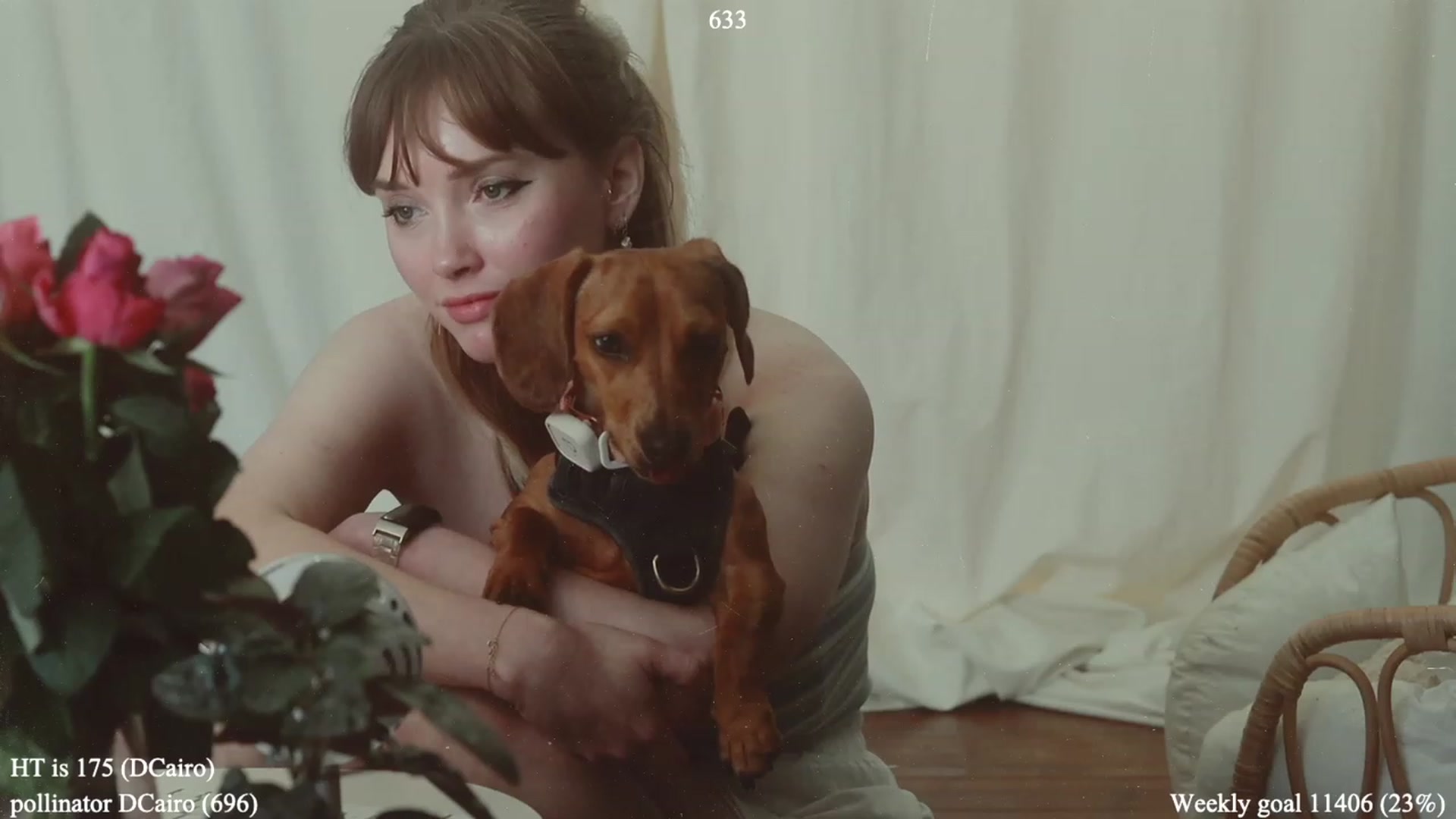 Gallery image thumbnail from colettedujour's myfreecams stream on, 04/12/2023, 20:18 image 17 of 20