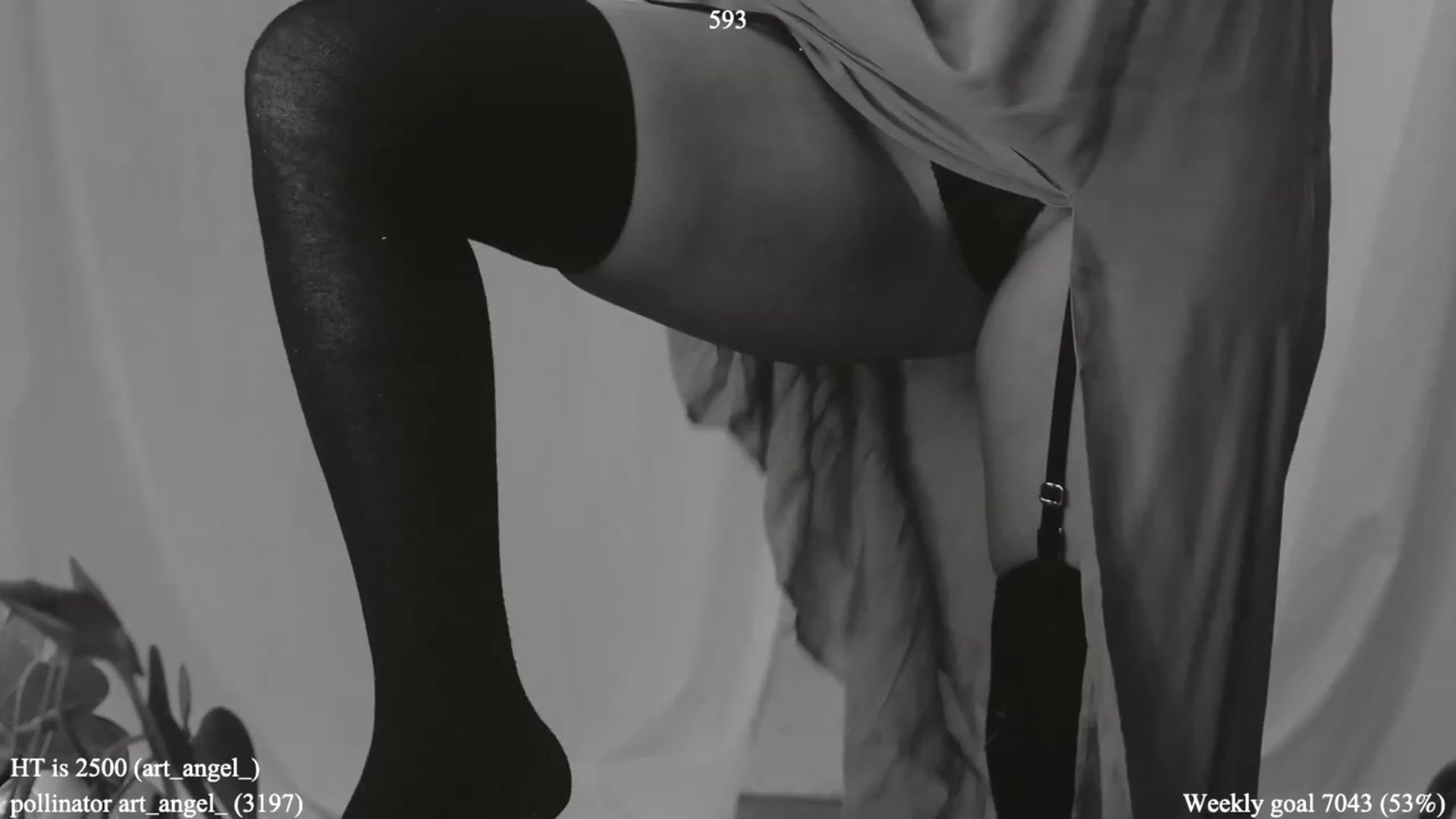 Gallery image thumbnail from colettedujour's myfreecams stream on, 04/13/2023, 17:07 image 13 of 20