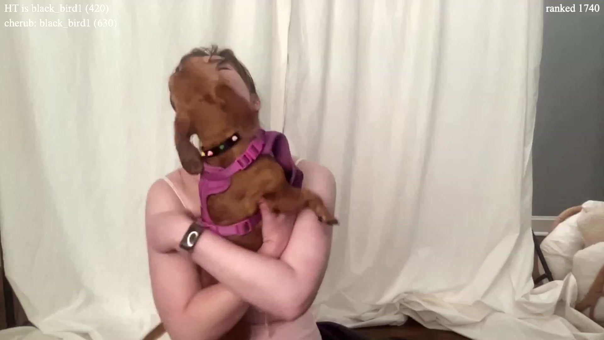 Gallery image thumbnail from colettedujour's myfreecams stream on, 07/05/2023, 20:28 image 16 of 20