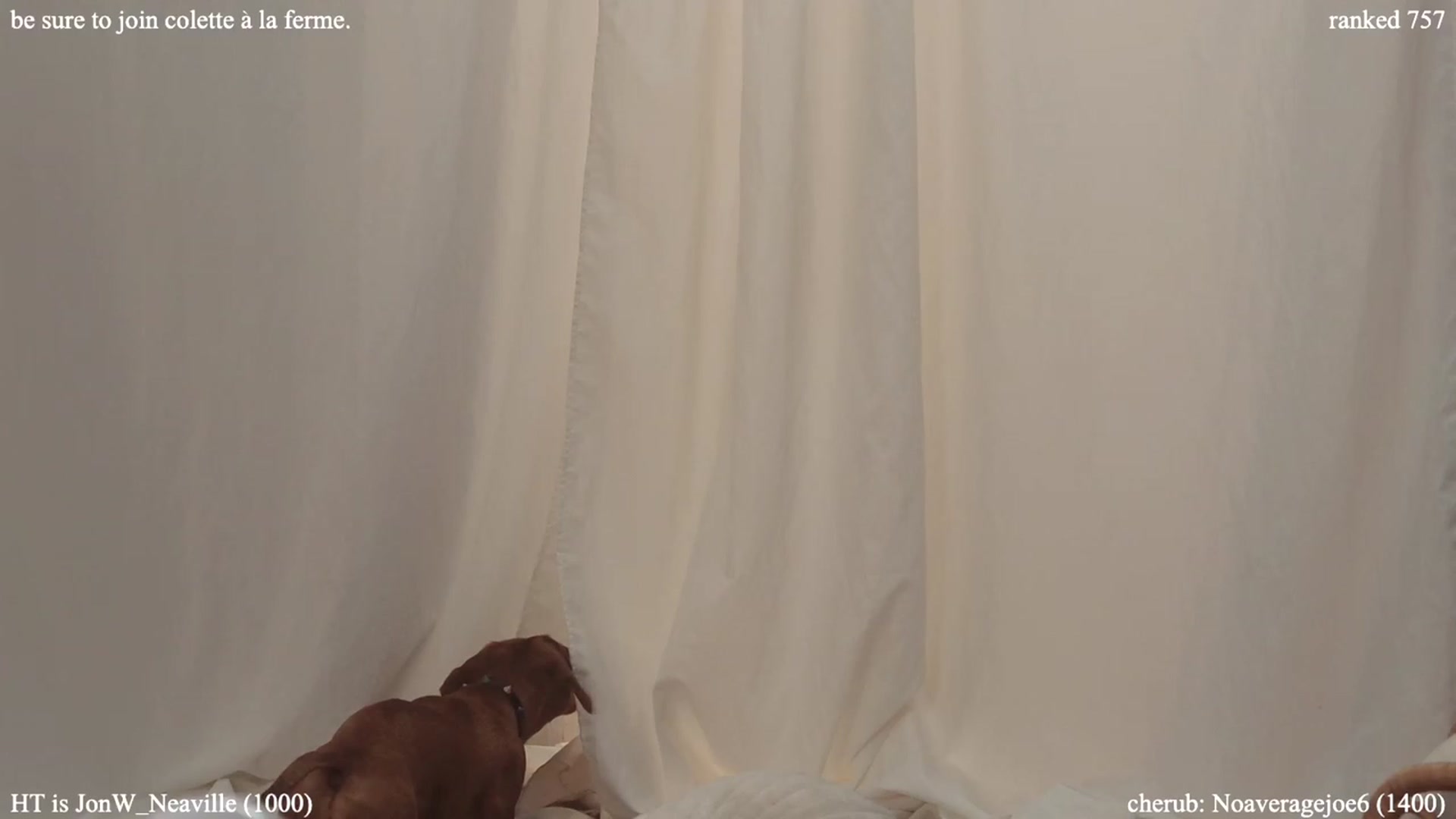 Gallery image thumbnail from colettedujour's myfreecams stream on, 07/13/2023, 18:25 image 19 of 20