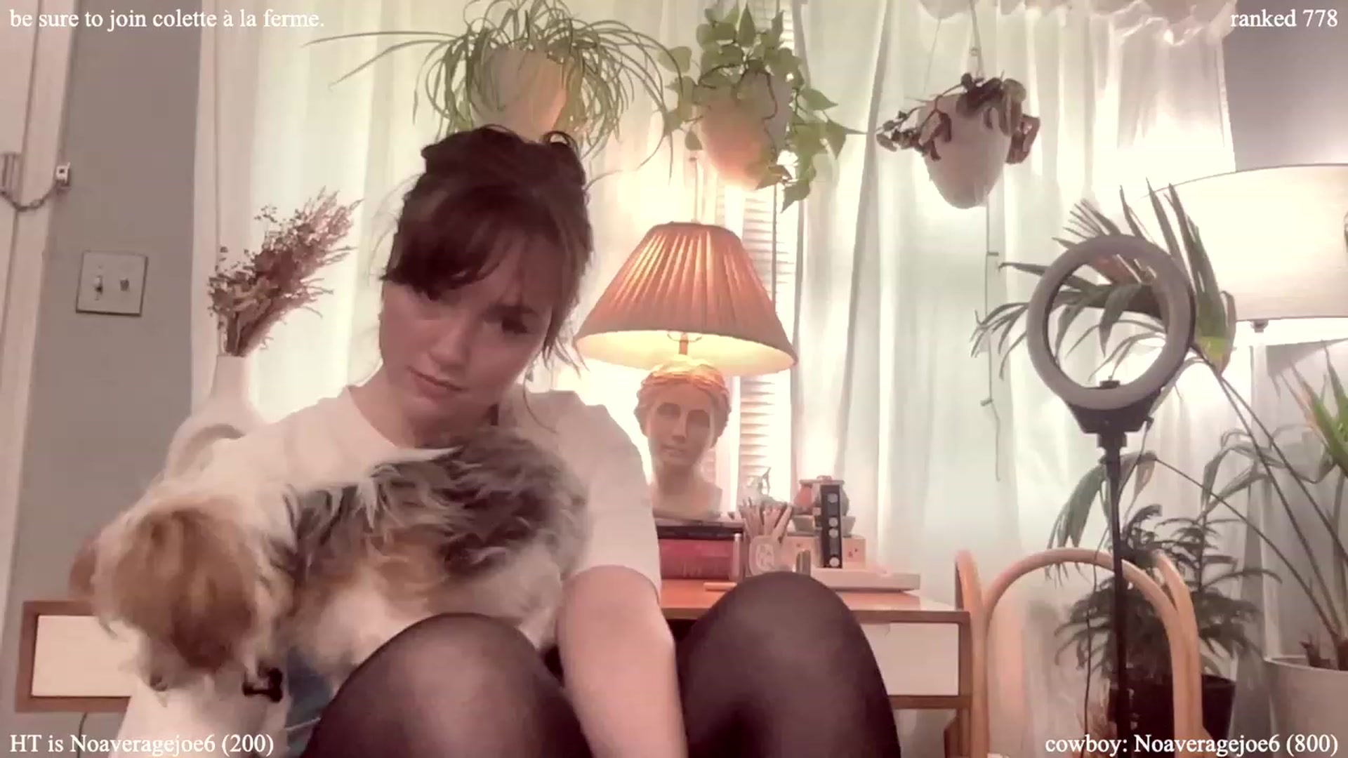 Gallery image thumbnail from colettedujour's myfreecams stream on, 07/25/2023, 18:29 image 12 of 20