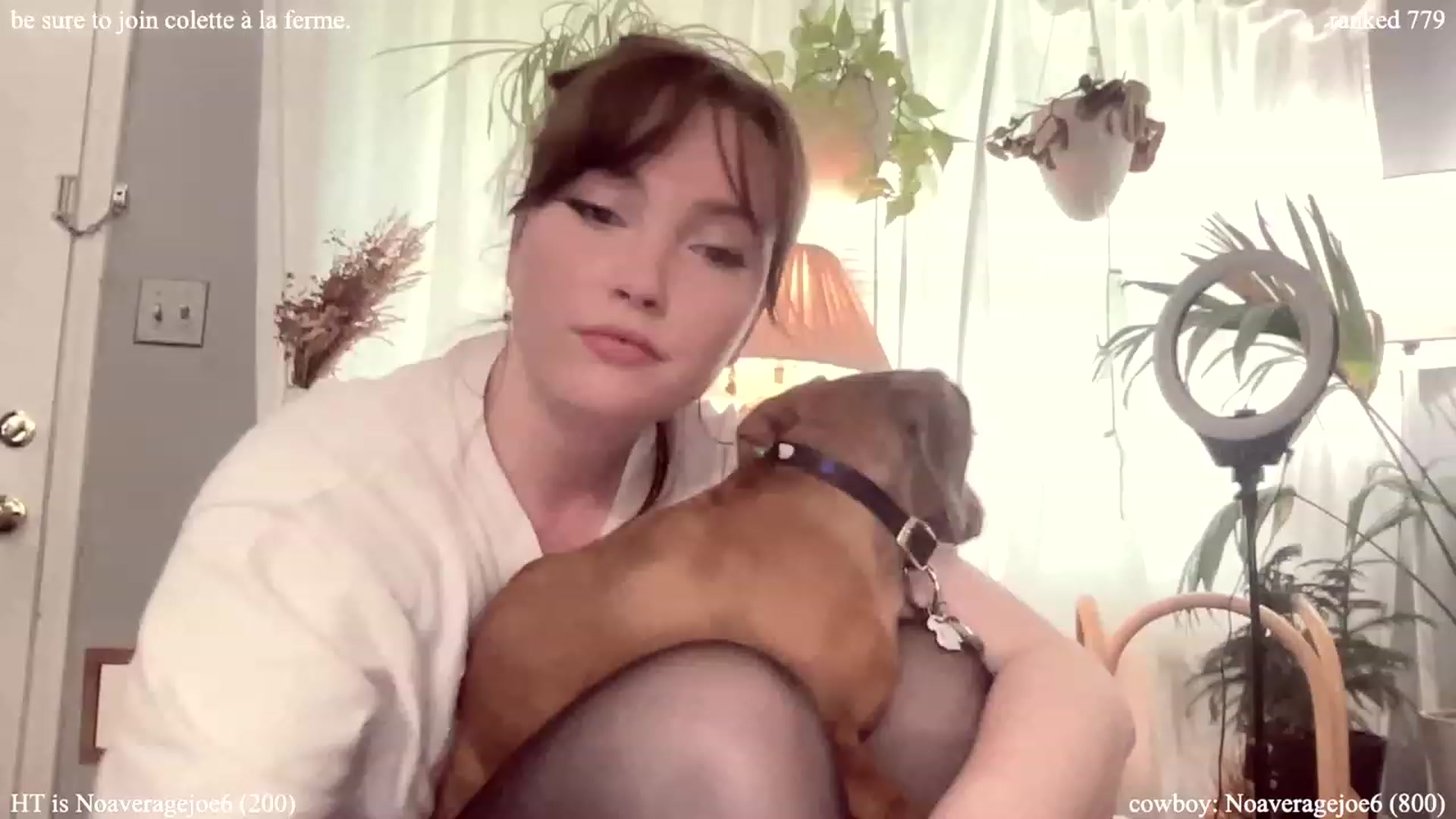 Gallery image thumbnail from colettedujour's myfreecams stream on, 07/25/2023, 18:29 image 15 of 20