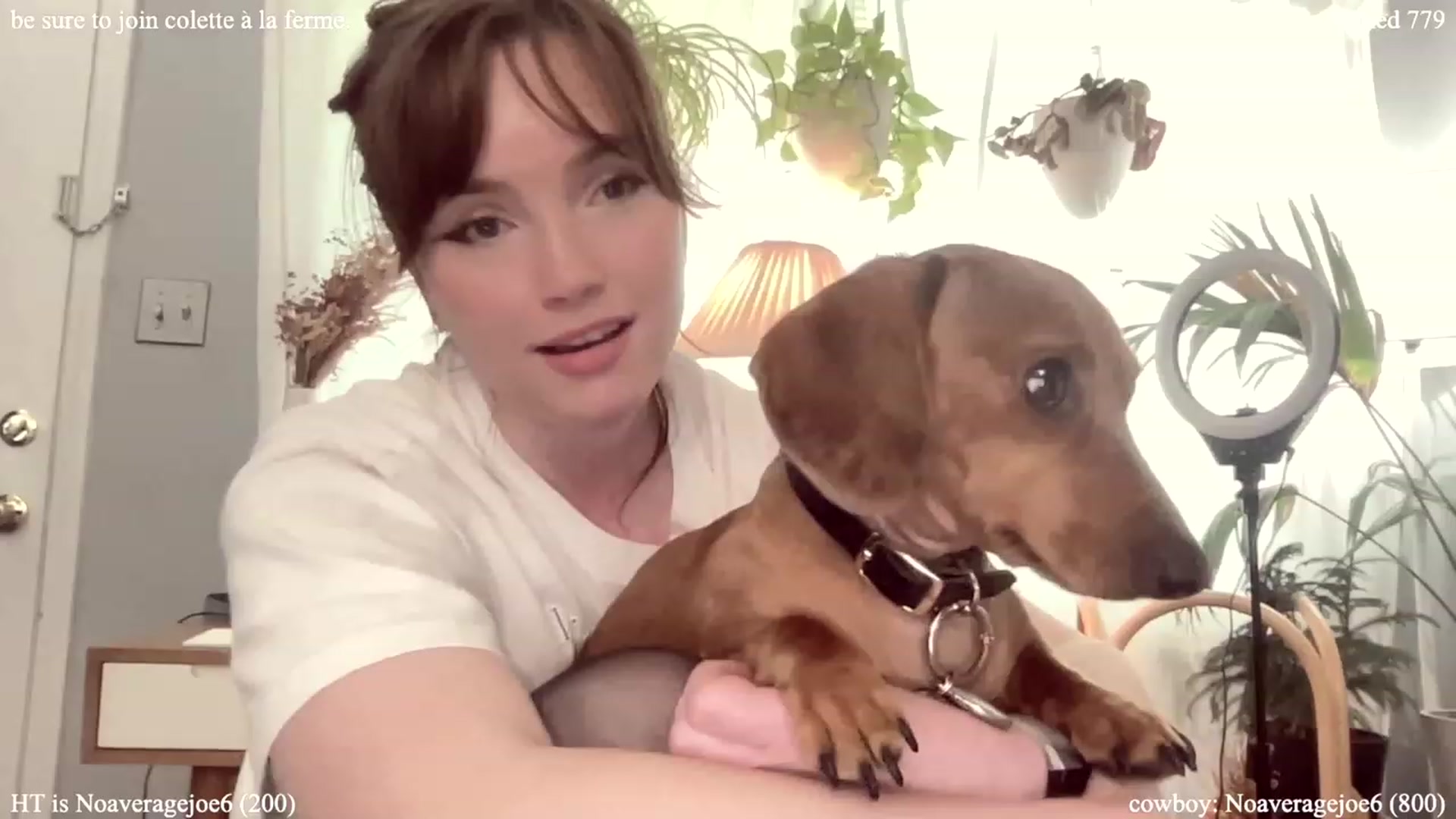 Gallery image thumbnail from colettedujour's myfreecams stream on, 07/25/2023, 18:29 image 14 of 20