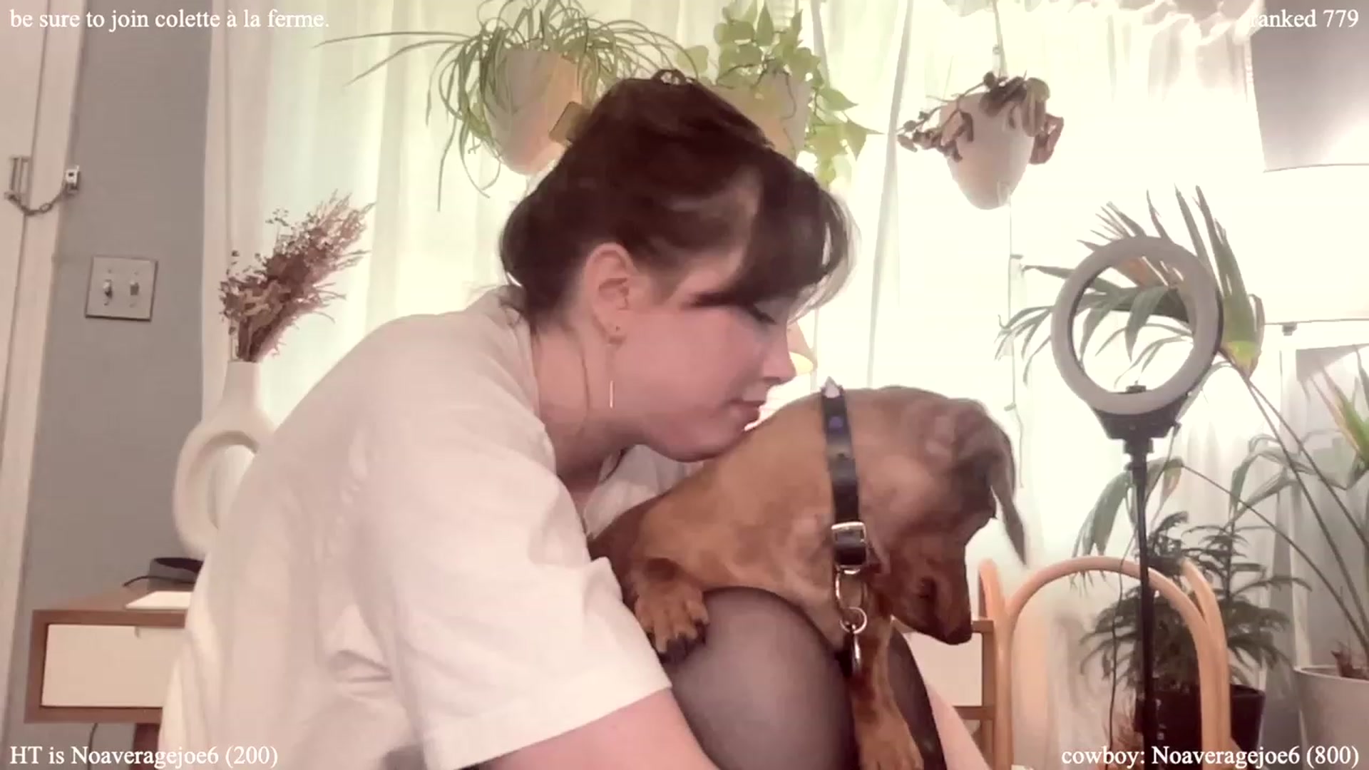 Gallery image thumbnail from colettedujour's myfreecams stream on, 07/25/2023, 18:29 image 10 of 20