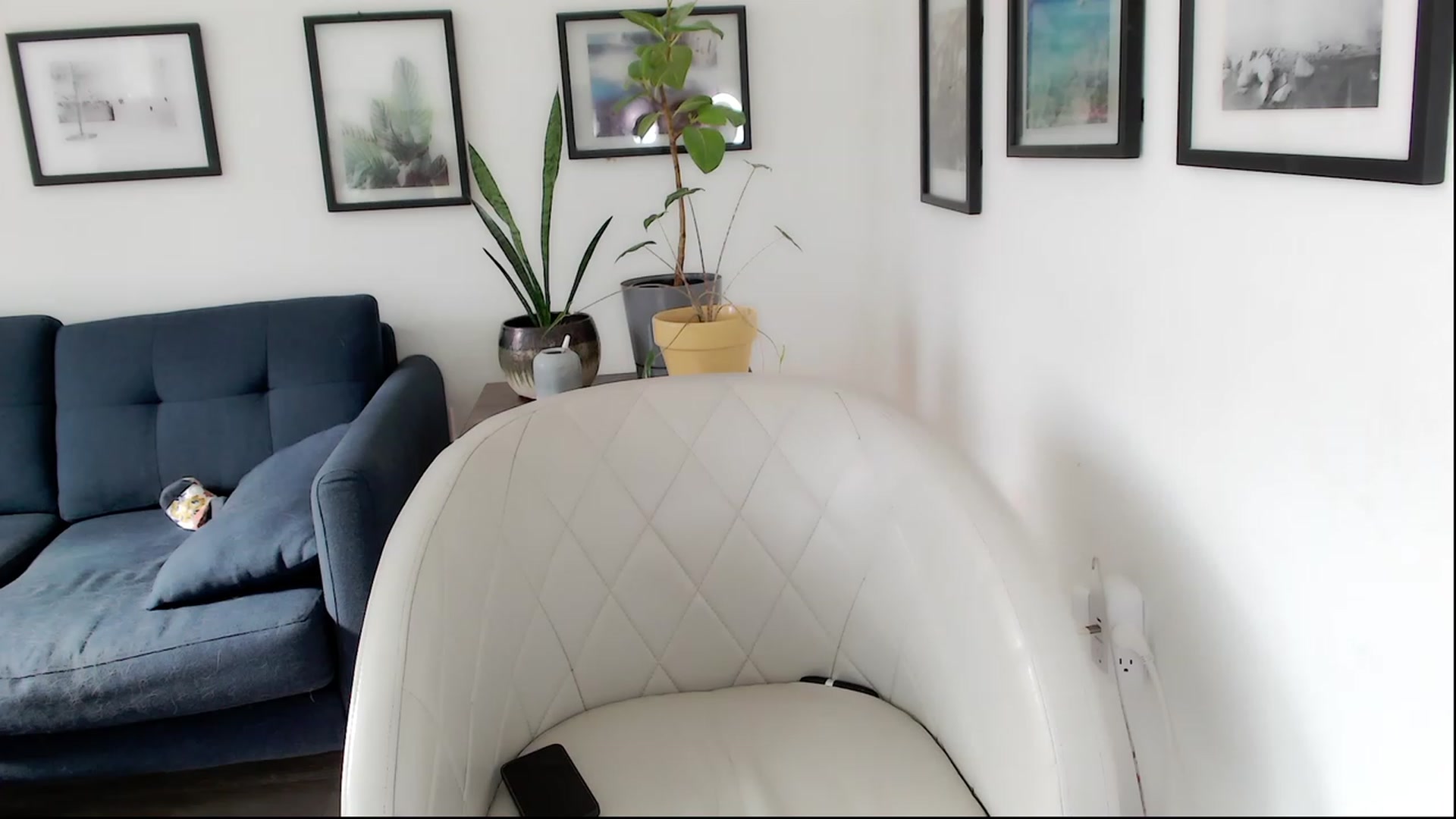 Gallery image thumbnail from consideruby's myfreecams stream on, 04/25/2023, 24:46 image 2 of 20