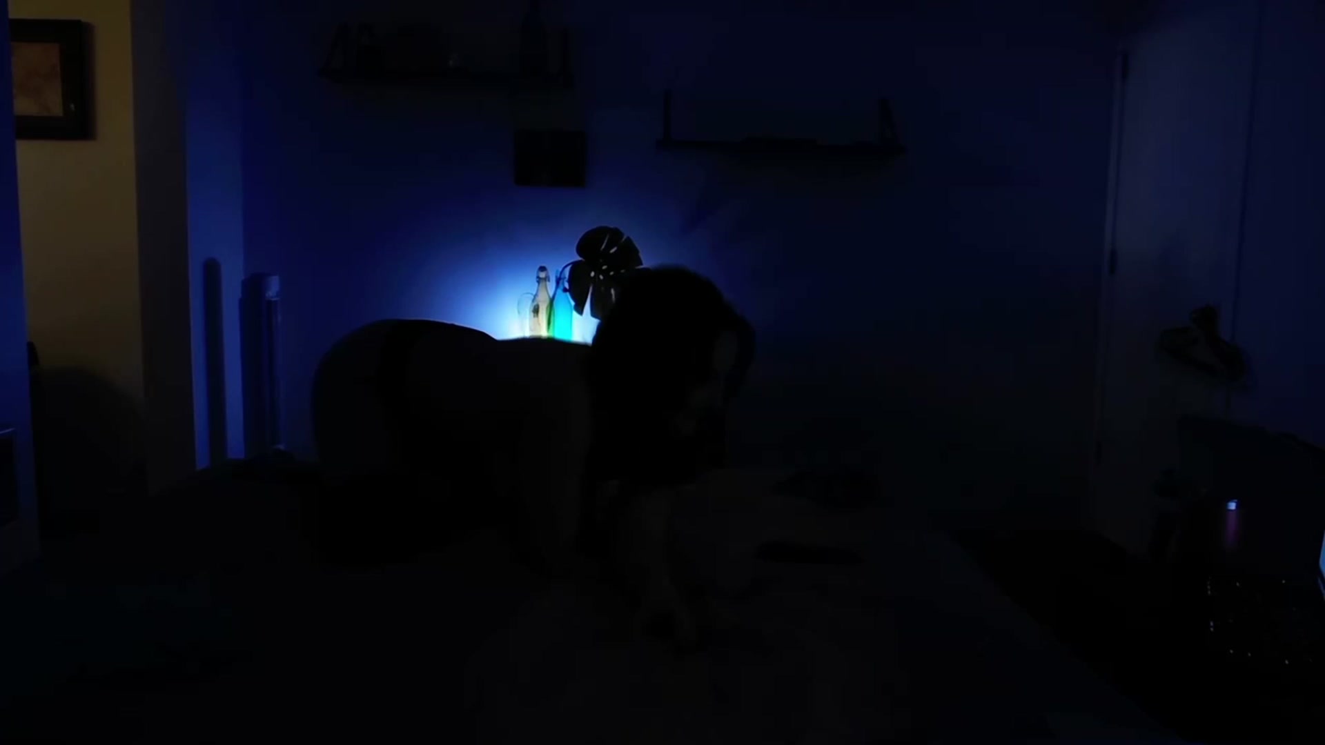 Gallery image thumbnail from consideruby's myfreecams stream on, 11/22/2023, 17:17 image 19 of 20