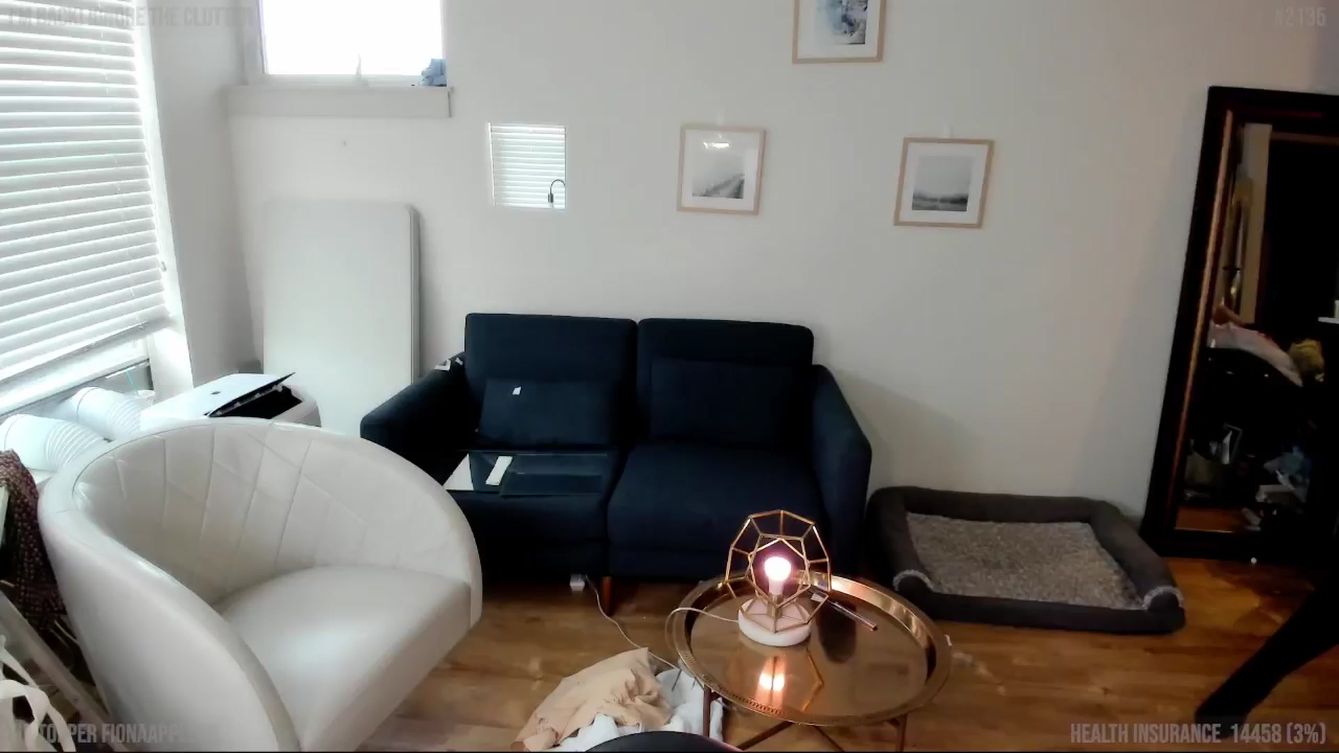 Gallery image thumbnail from consideruby's myfreecams stream on, 08/07/2024, 16:31 image 12 of 20