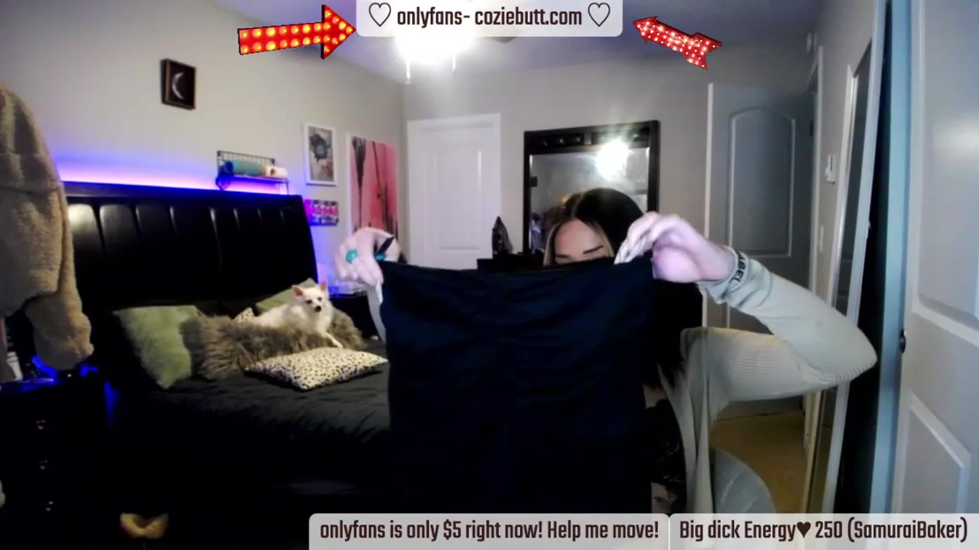 Gallery image thumbnail from coziebae's myfreecams stream on, 11/29/2022, 16:44 image 9 of 20