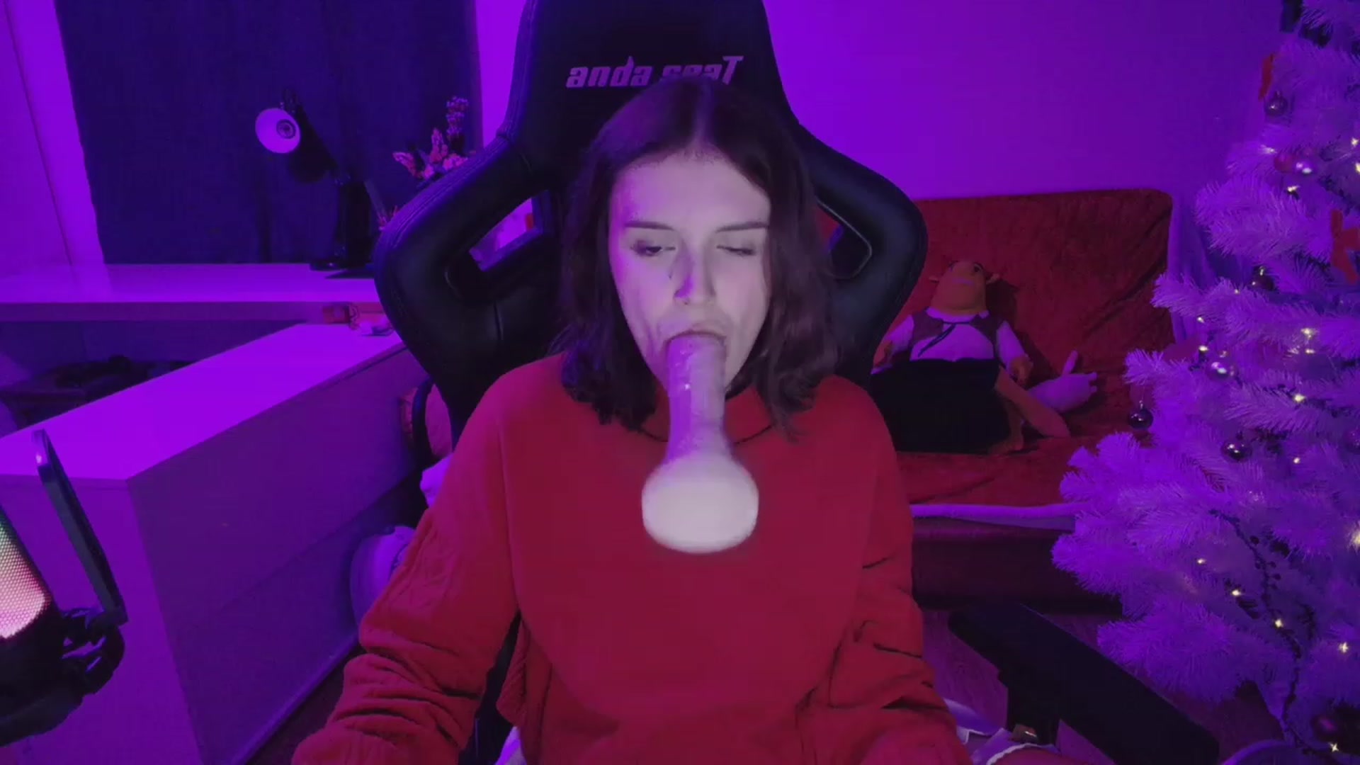 Gallery image thumbnail from crybabyKys's myfreecams stream on, 12/26/2023, 24:03 image 17 of 20