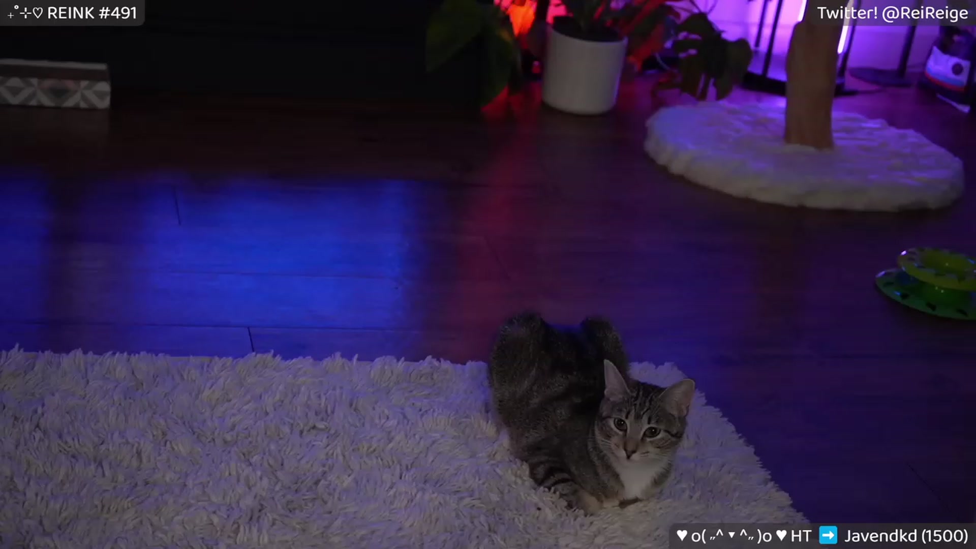 Gallery image thumbnail from cuhRIIIIIINGE's myfreecams stream on, 02/25/2023, 13:50 image 7 of 20