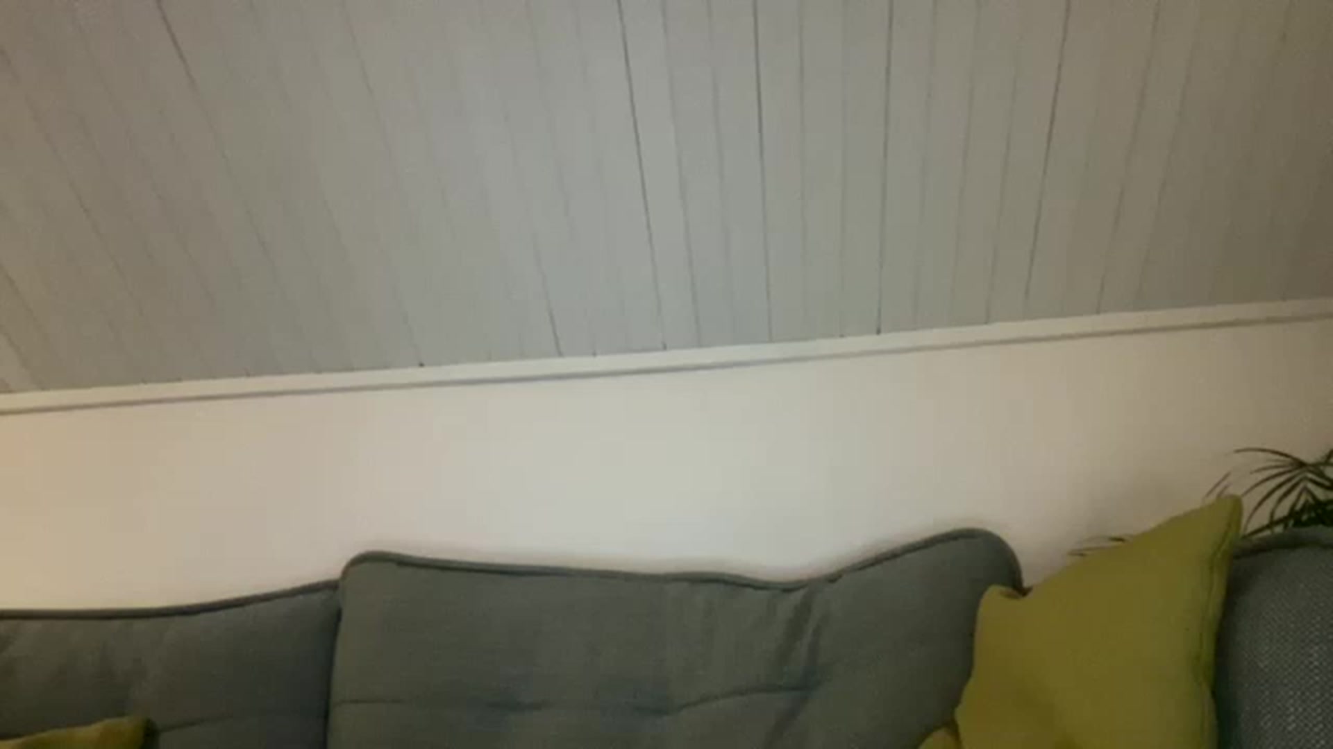 Gallery image thumbnail from cute_asian69's myfreecams stream on, 05/28/2023, 24:31 image 1 of 20