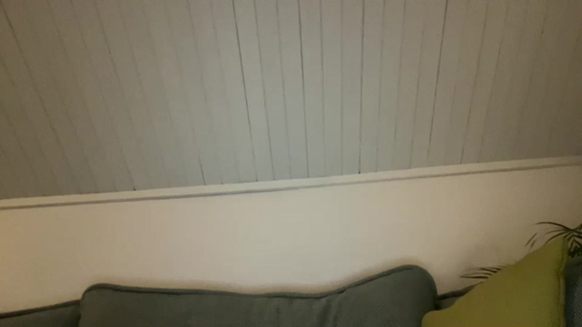 Gallery image thumbnail from cute_asian69's myfreecams stream on, 05/28/2023, 24:31 image 12 of 20
