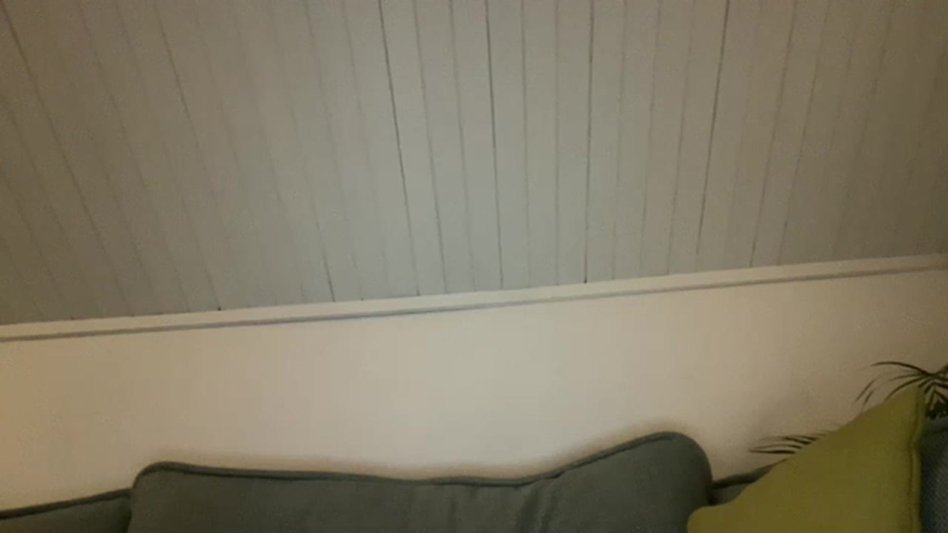 Gallery image thumbnail from cute_asian69's myfreecams stream on, 05/28/2023, 24:31 image 11 of 20