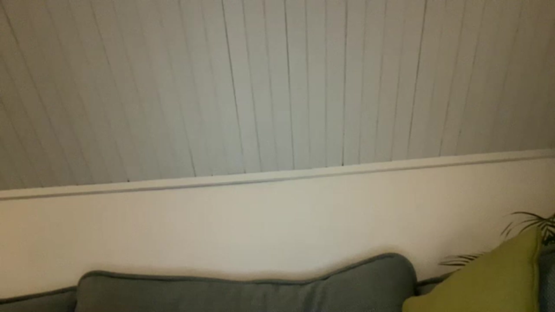 Gallery image thumbnail from cute_asian69's myfreecams stream on, 05/28/2023, 24:31 image 14 of 20