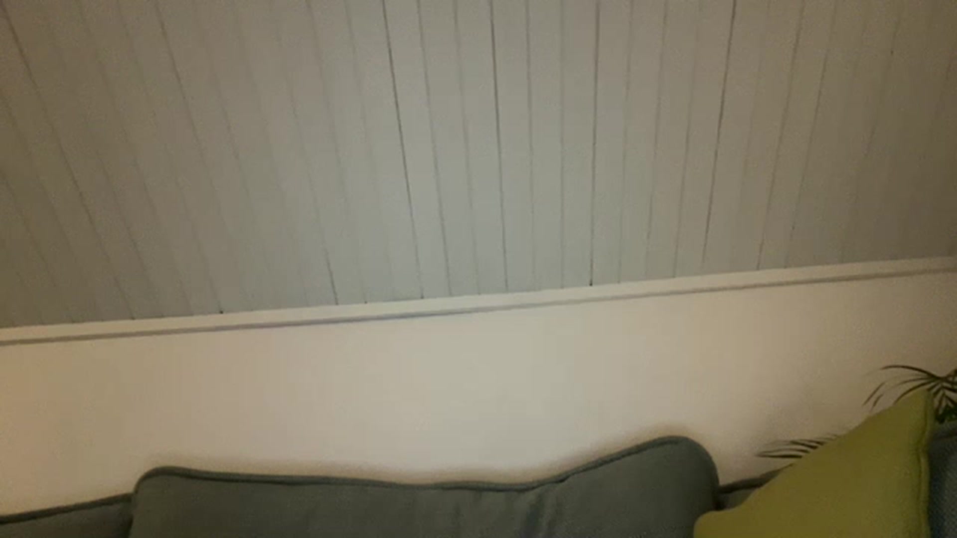 Gallery image thumbnail from cute_asian69's myfreecams stream on, 05/28/2023, 24:31 image 13 of 20