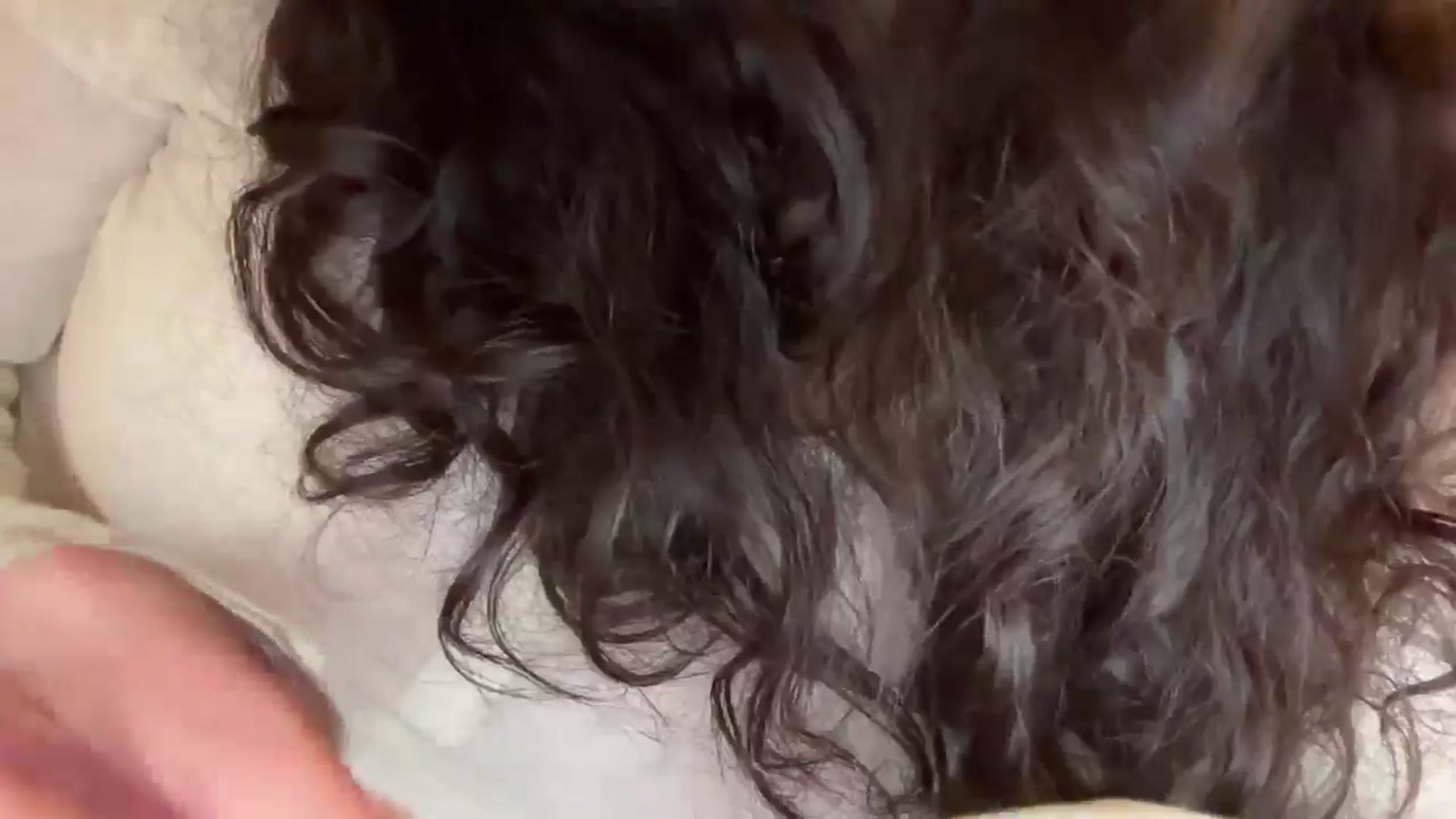 Gallery image thumbnail from cute_asian69's myfreecams stream on, 03/29/2026, 24:09 image 12 of 20