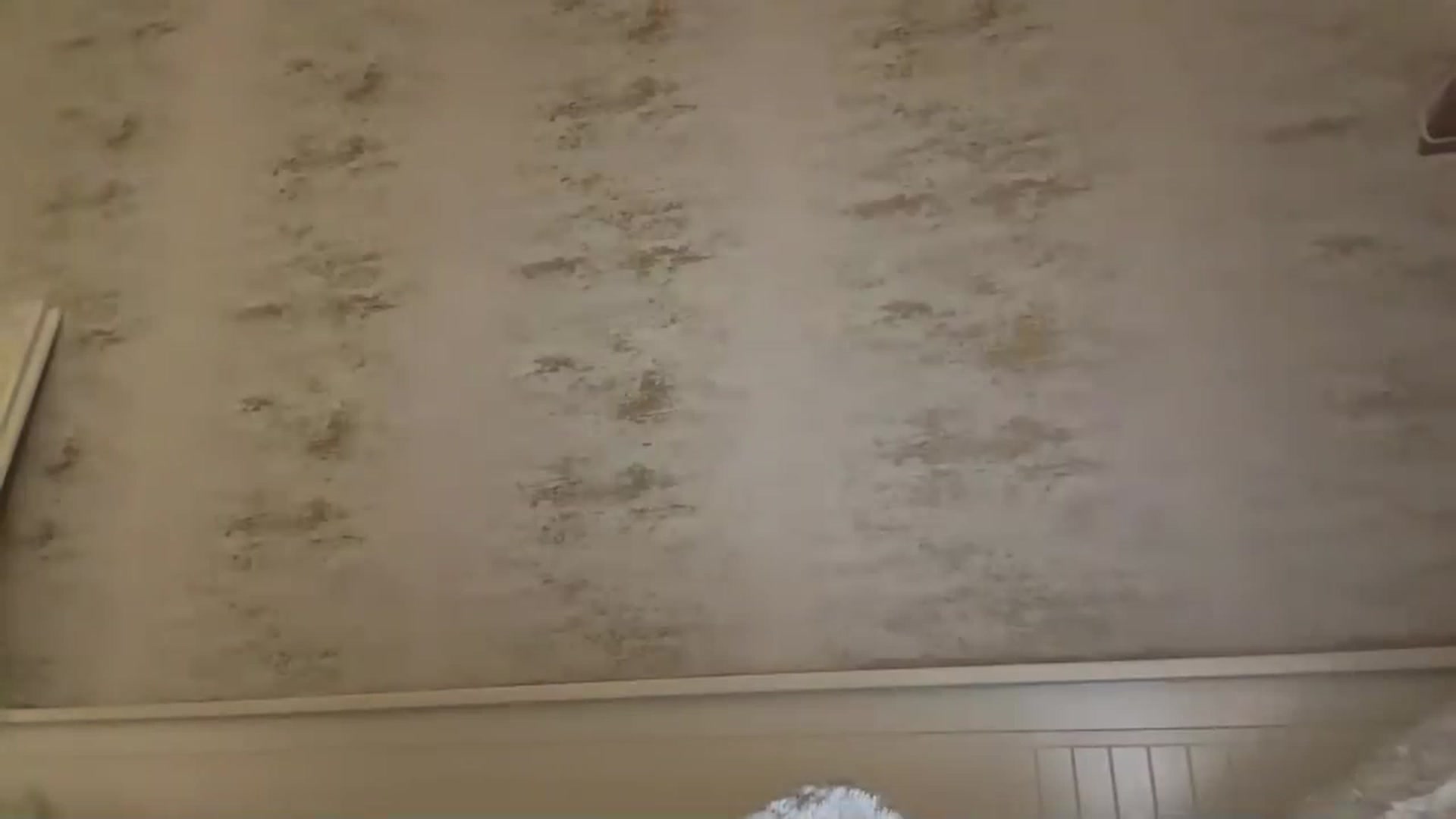 Gallery image thumbnail from cutebabe7's myfreecams stream on, 04/20/2023, 22:07 image 13 of 20