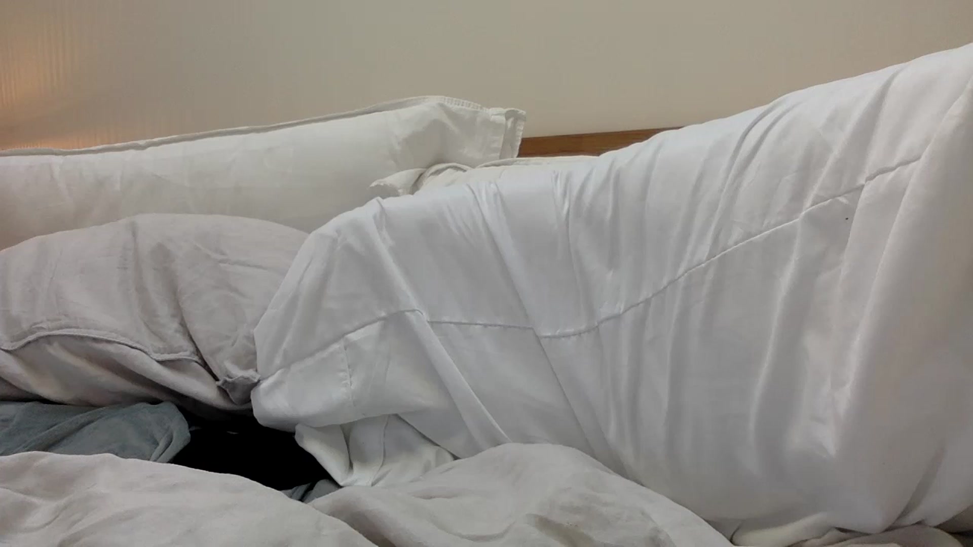 Gallery image thumbnail from cutegirl62's myfreecams stream on, 12/21/2022, 12:49 image 10 of 20