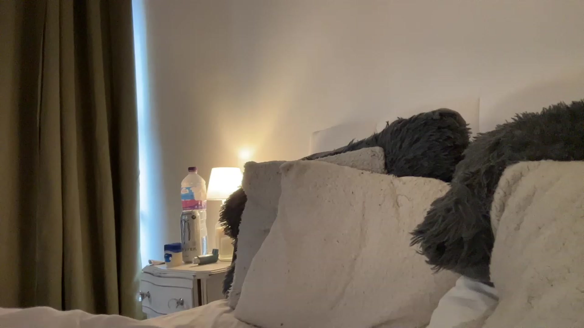 Gallery image thumbnail from cutegirl62's myfreecams stream on, 03/09/2023, 14:00 image 2 of 20