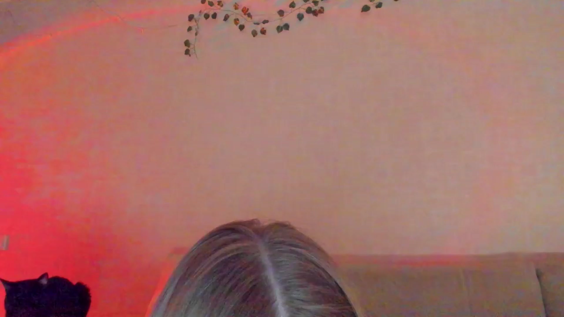 Gallery image thumbnail from cutegirlAlice's myfreecams stream on, 04/15/2023, 15:14 image 3 of 20