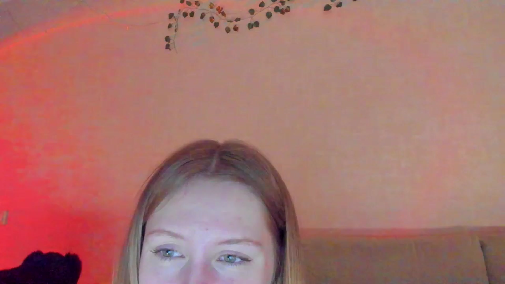 Gallery image thumbnail from cutegirlAlice's myfreecams stream on, 04/15/2023, 15:14 image 6 of 20