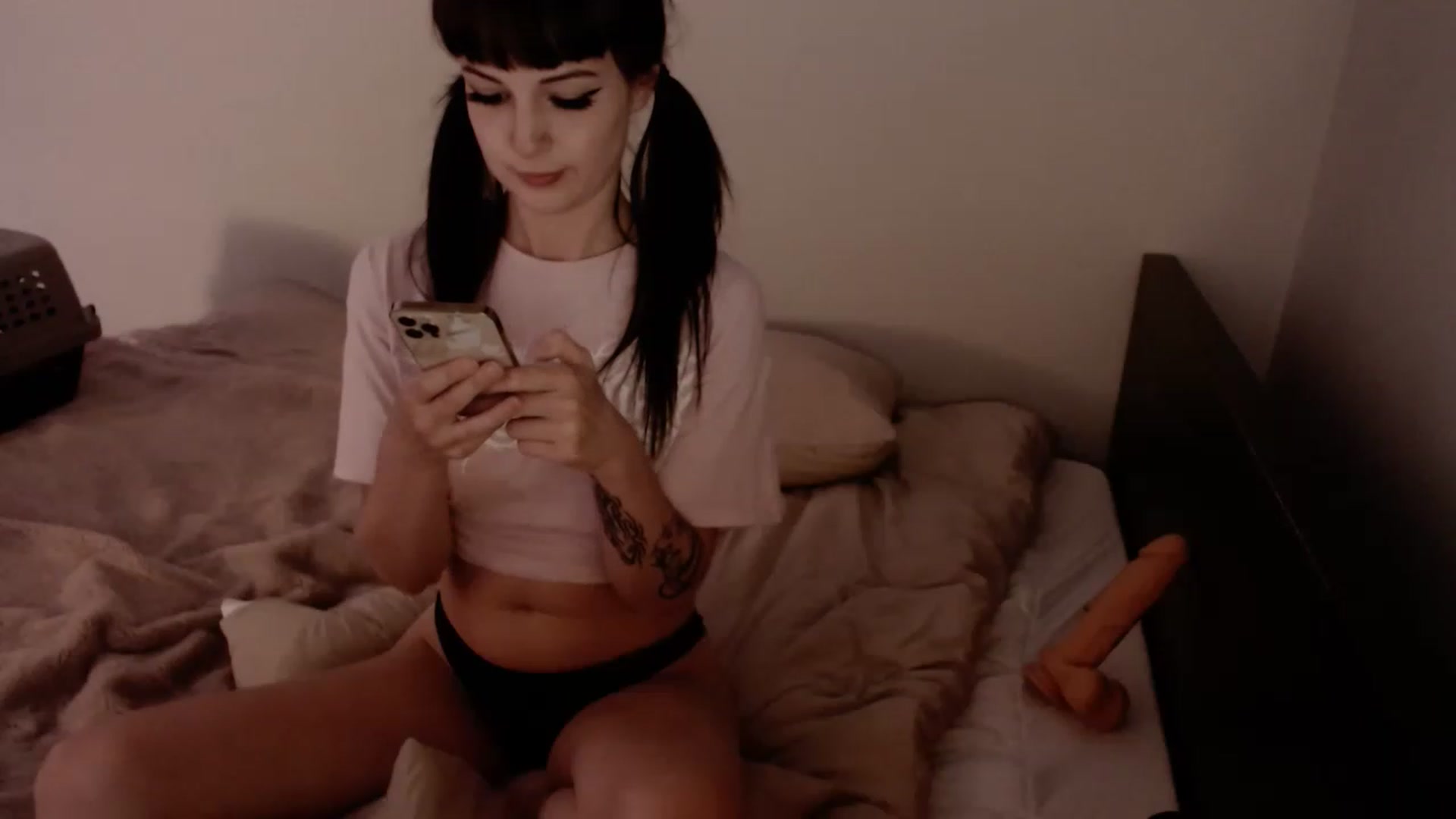 Gallery image thumbnail from cuteholly's myfreecams stream on, 12/03/2022, 06:03 image 19 of 20