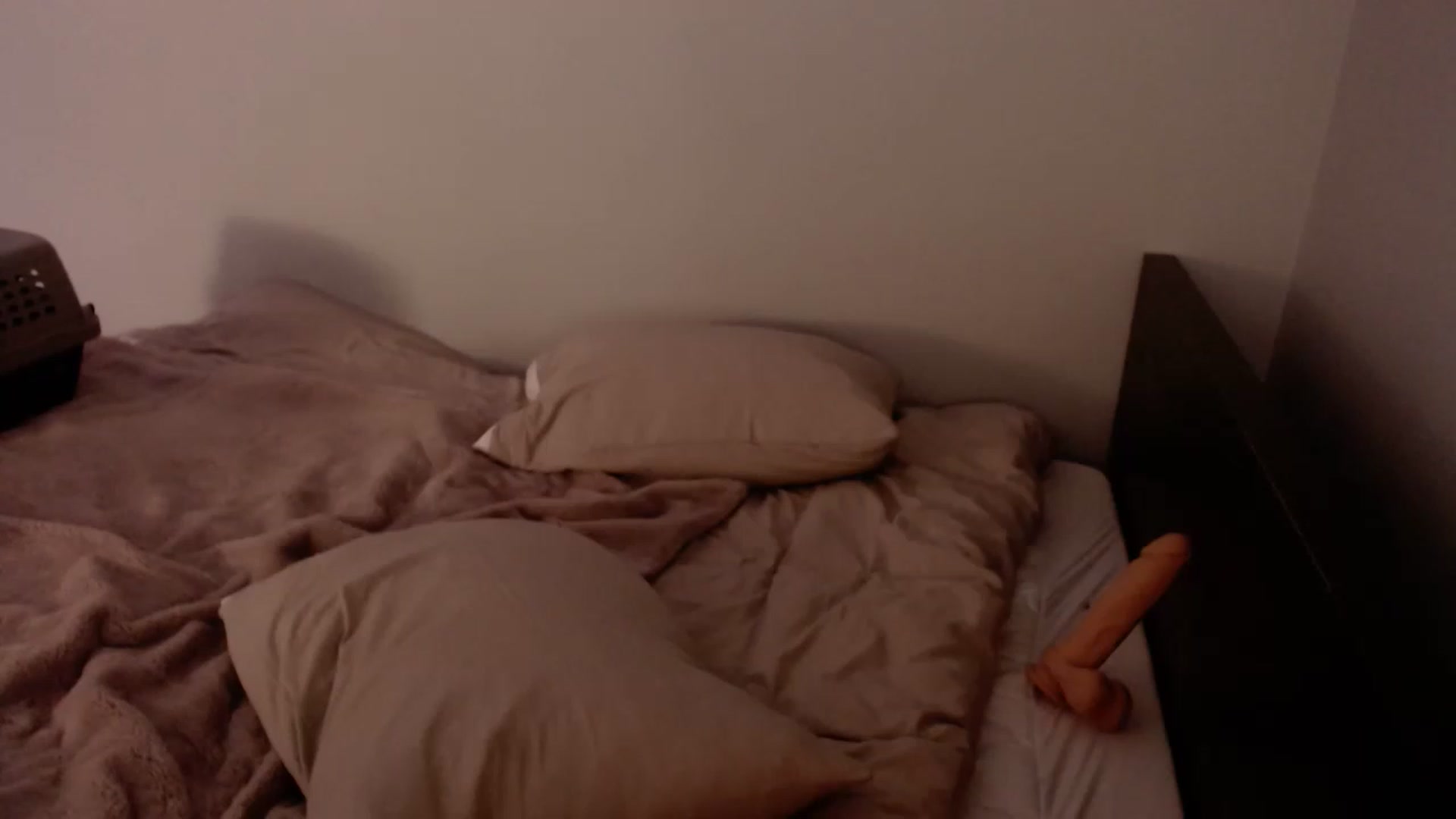 Gallery image thumbnail from cuteholly's myfreecams stream on, 12/03/2022, 06:03 image 18 of 20