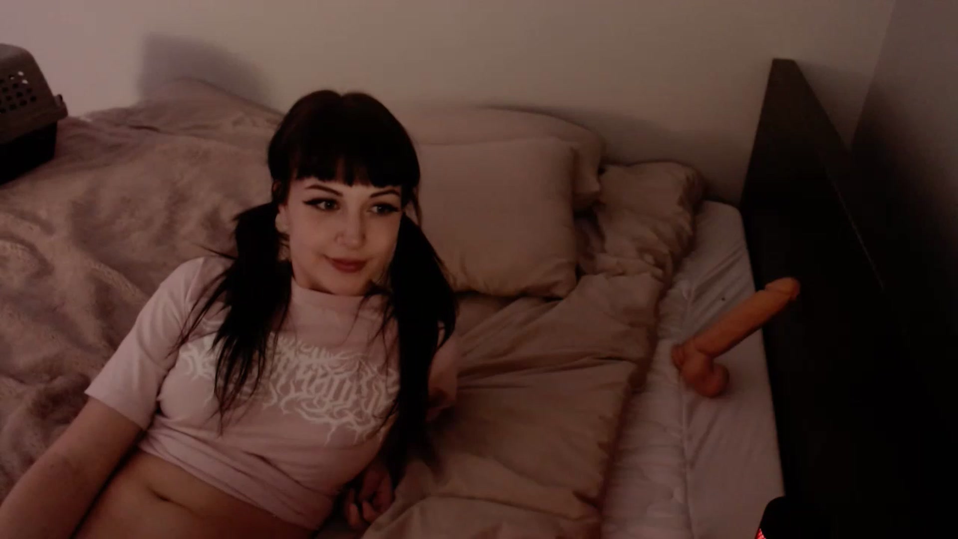 Gallery image thumbnail from cuteholly's myfreecams stream on, 12/03/2022, 06:03 image 7 of 20