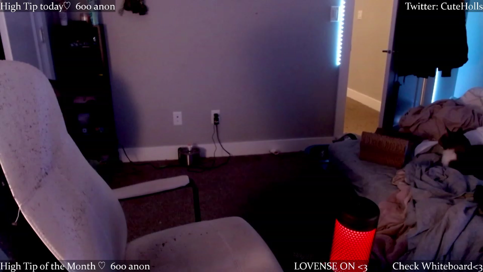 Gallery image thumbnail from cuteholly's myfreecams stream on, 04/13/2023, 11:16 image 19 of 20