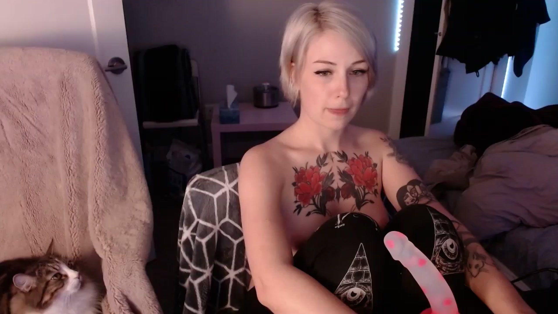 Gallery image thumbnail from cuteholly's myfreecams stream on, 09/29/2023, 08:44 image 19 of 20