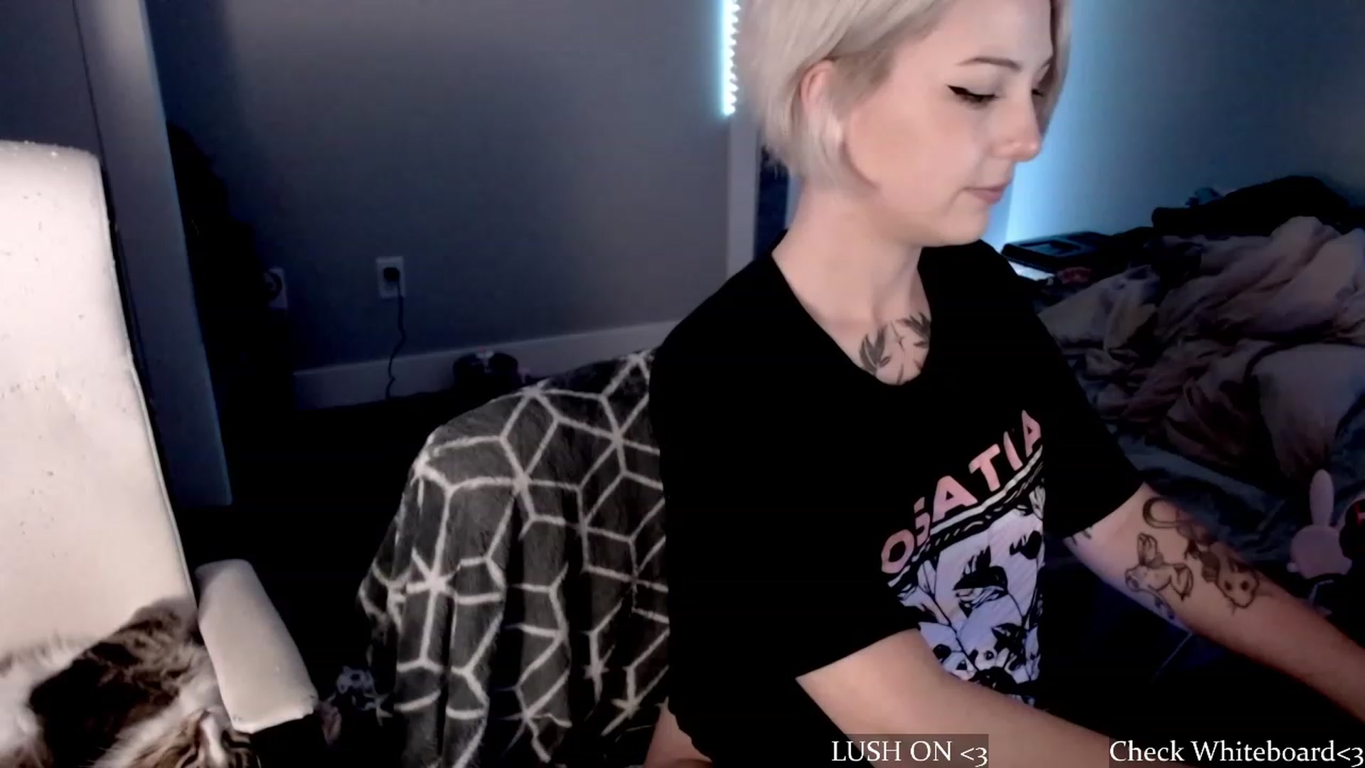 Gallery image thumbnail from cuteholly's myfreecams stream on, 10/17/2023, 05:35 image 3 of 20