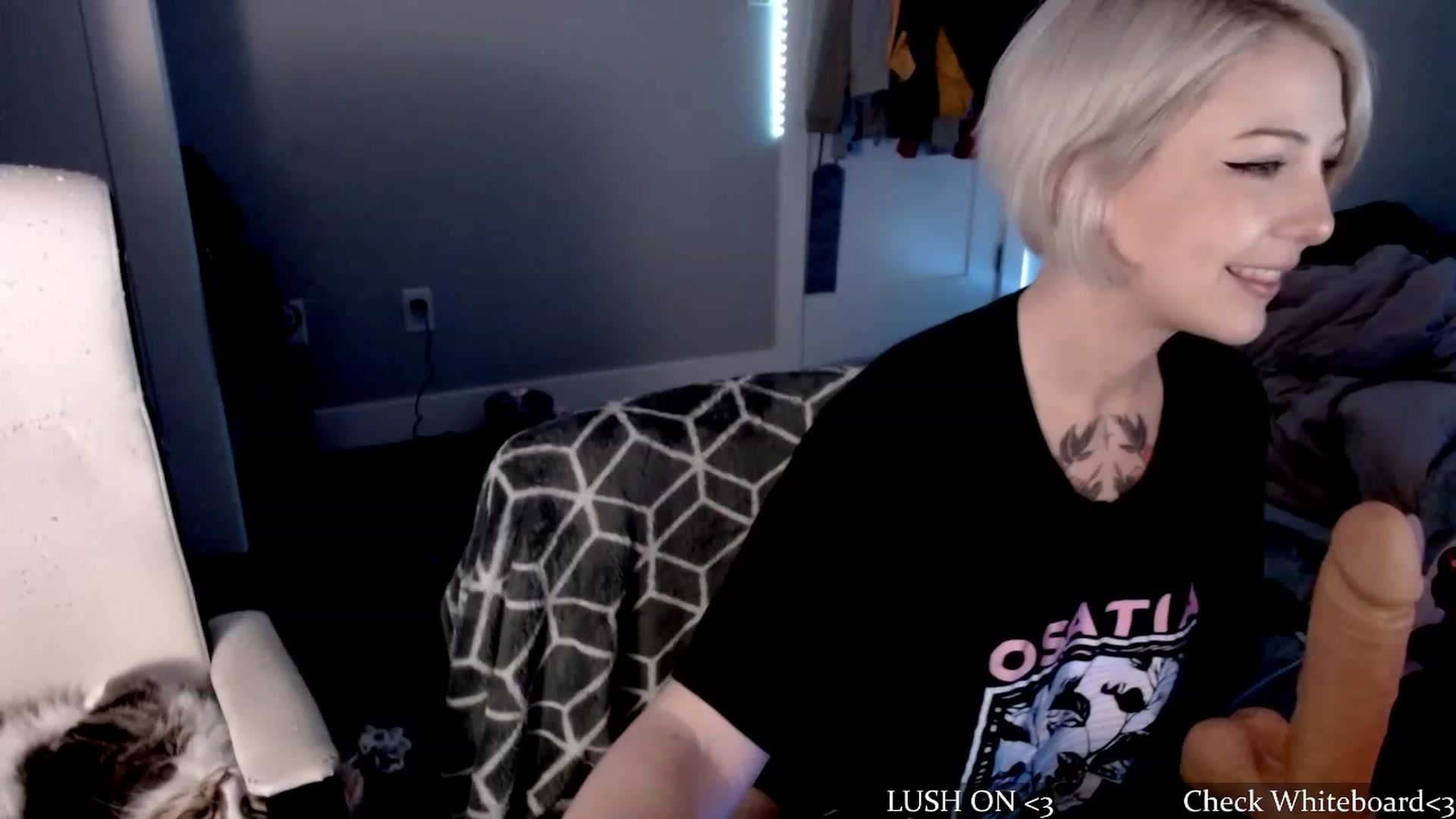 Gallery image thumbnail from cuteholly's myfreecams stream on, 10/17/2023, 05:35 image 1 of 20