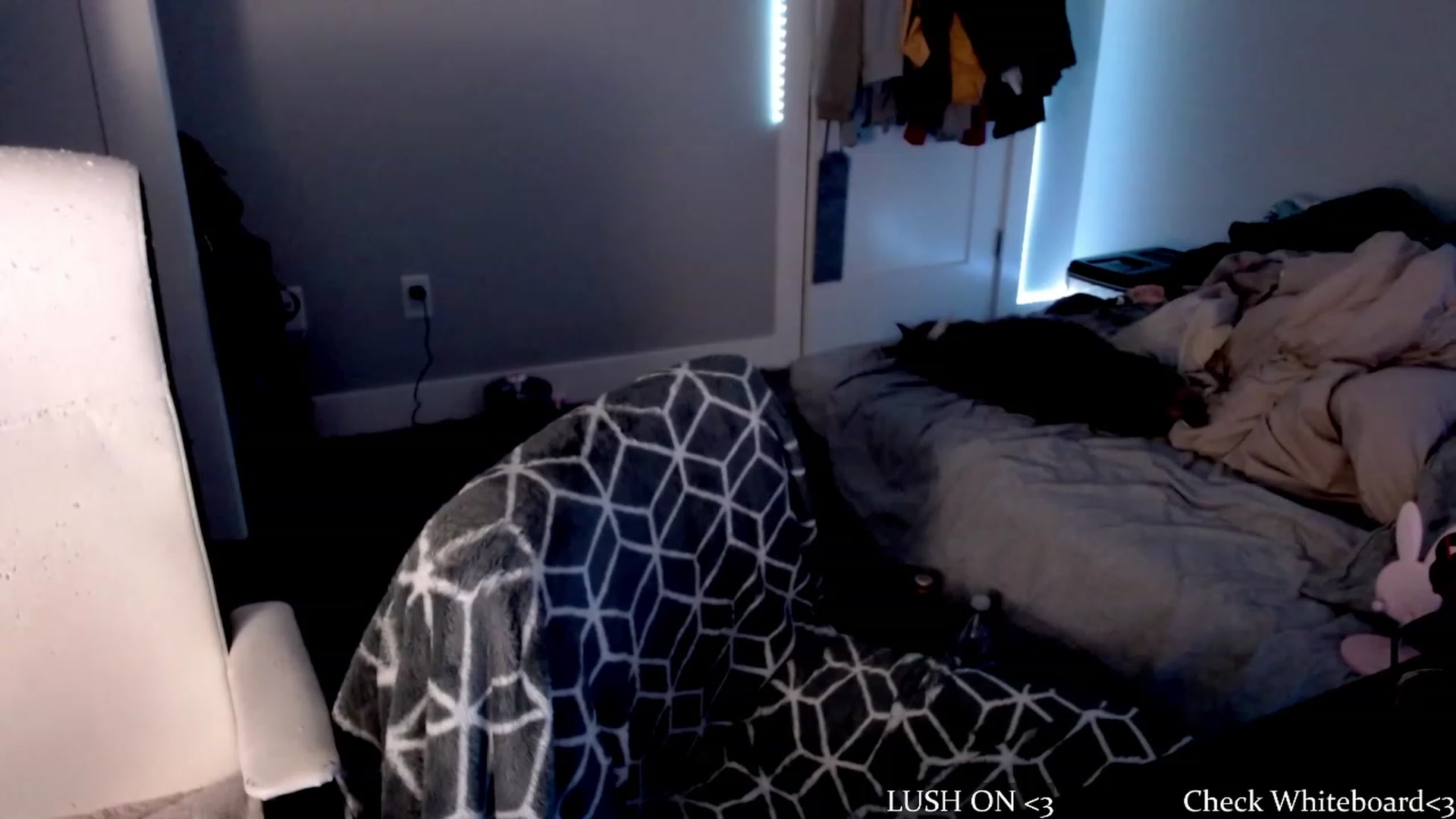 Gallery image thumbnail from cuteholly's myfreecams stream on, 10/17/2023, 05:35 image 12 of 20