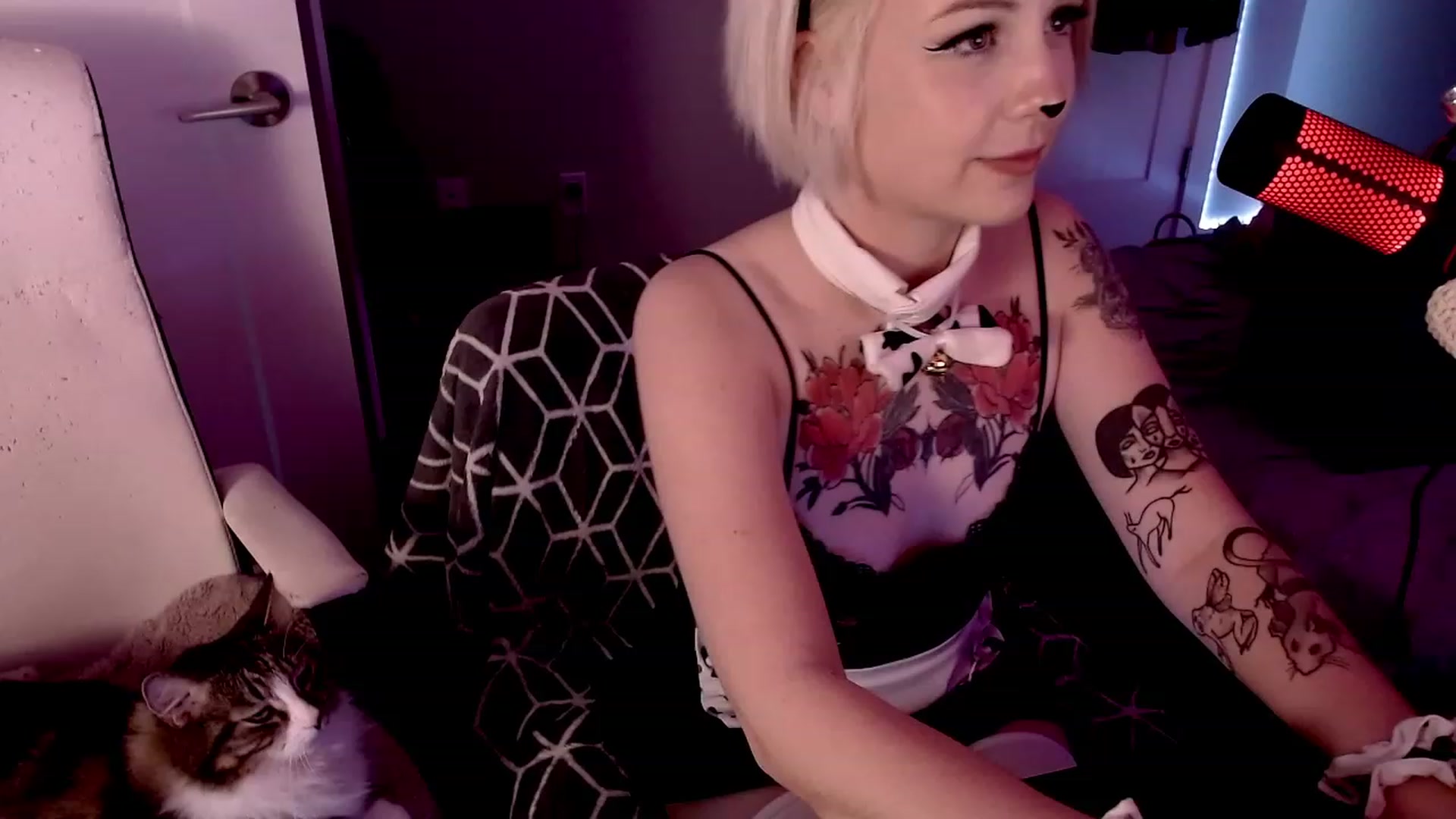 Gallery image thumbnail from cuteholly's myfreecams stream on, 10/31/2023, 07:45 image 17 of 20
