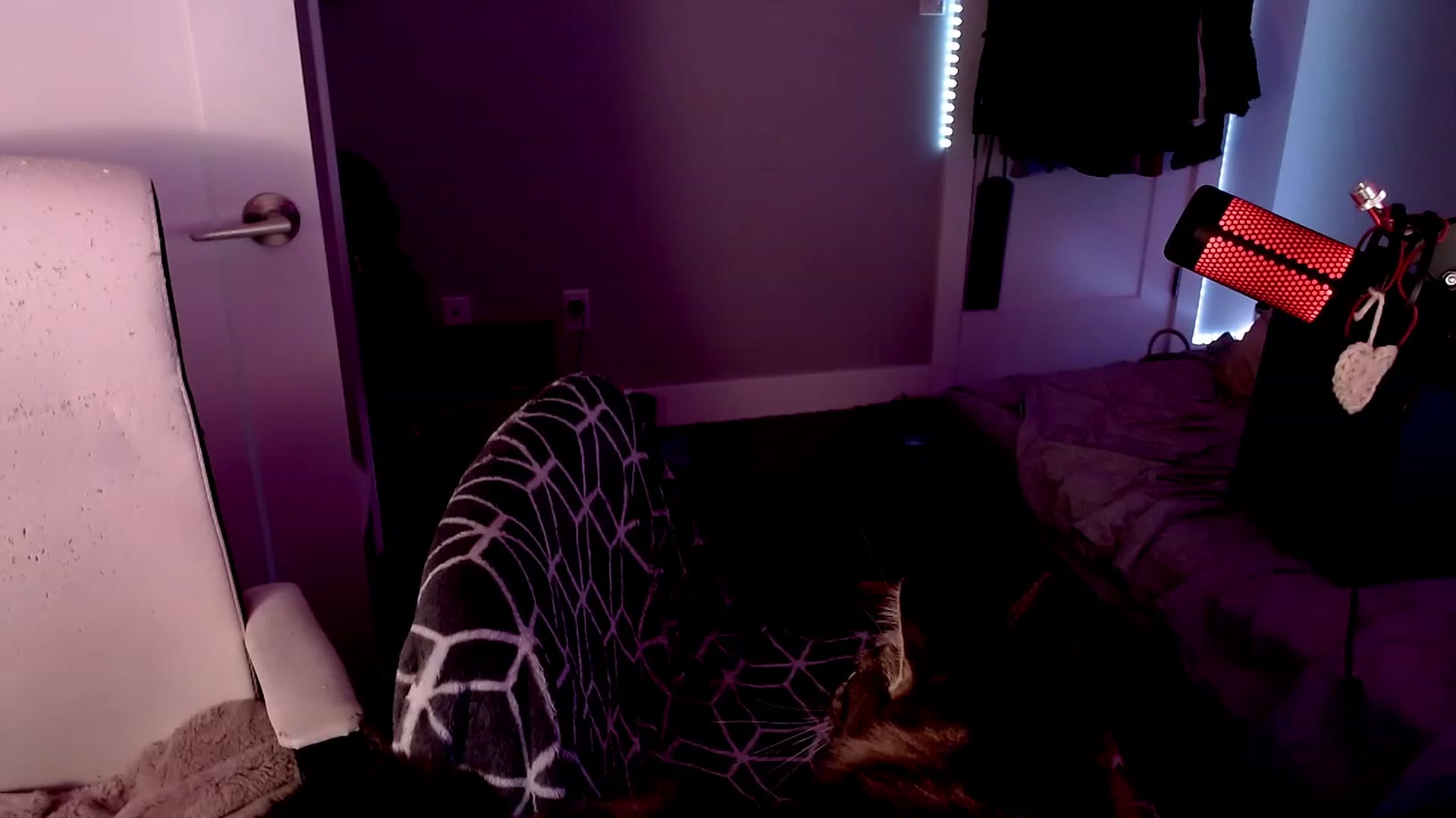Gallery image thumbnail from cuteholly's myfreecams stream on, 10/31/2023, 07:45 image 2 of 20