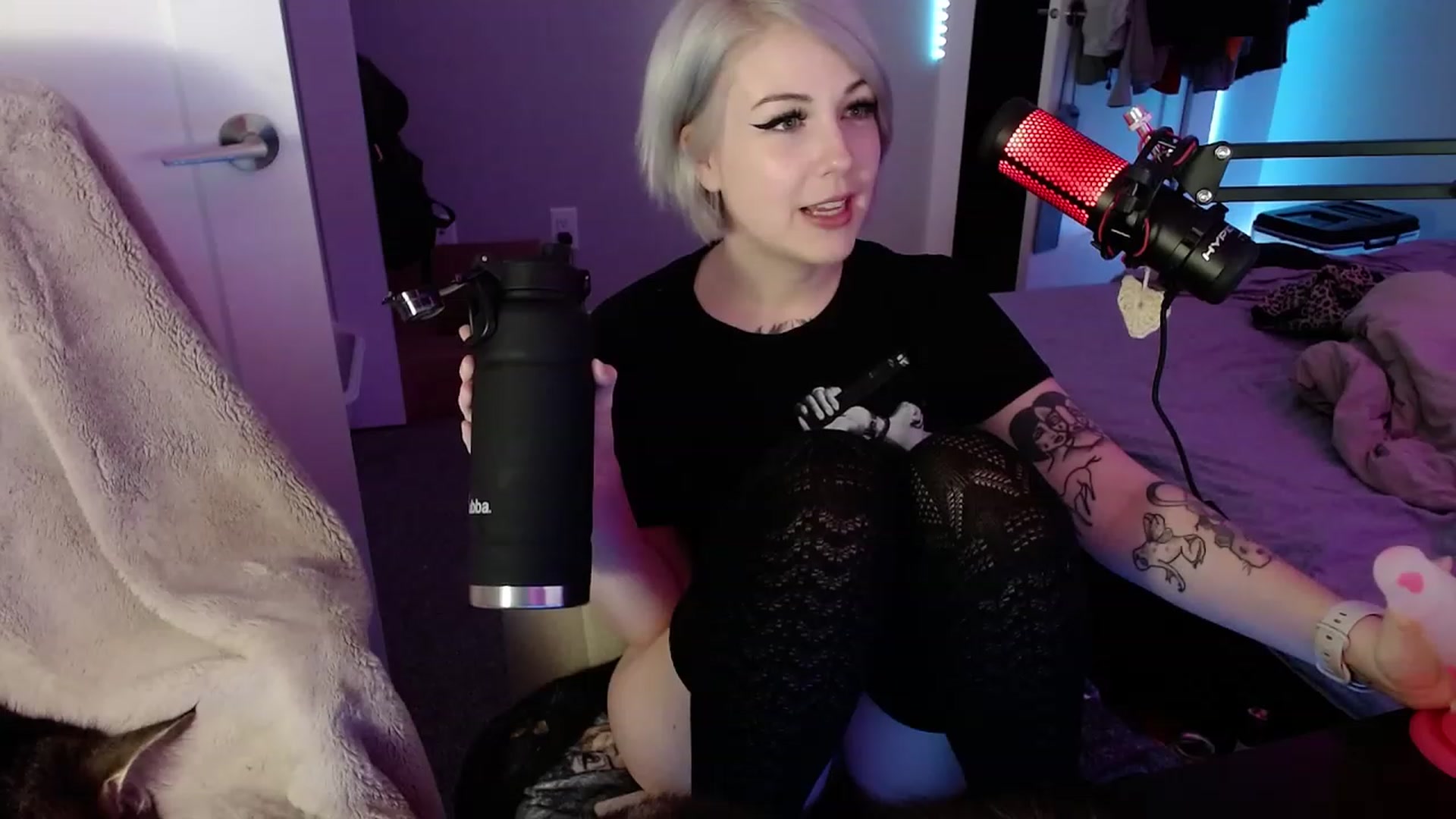 Gallery image thumbnail from cuteholly's myfreecams stream on, 11/06/2023, 09:19 image 2 of 20