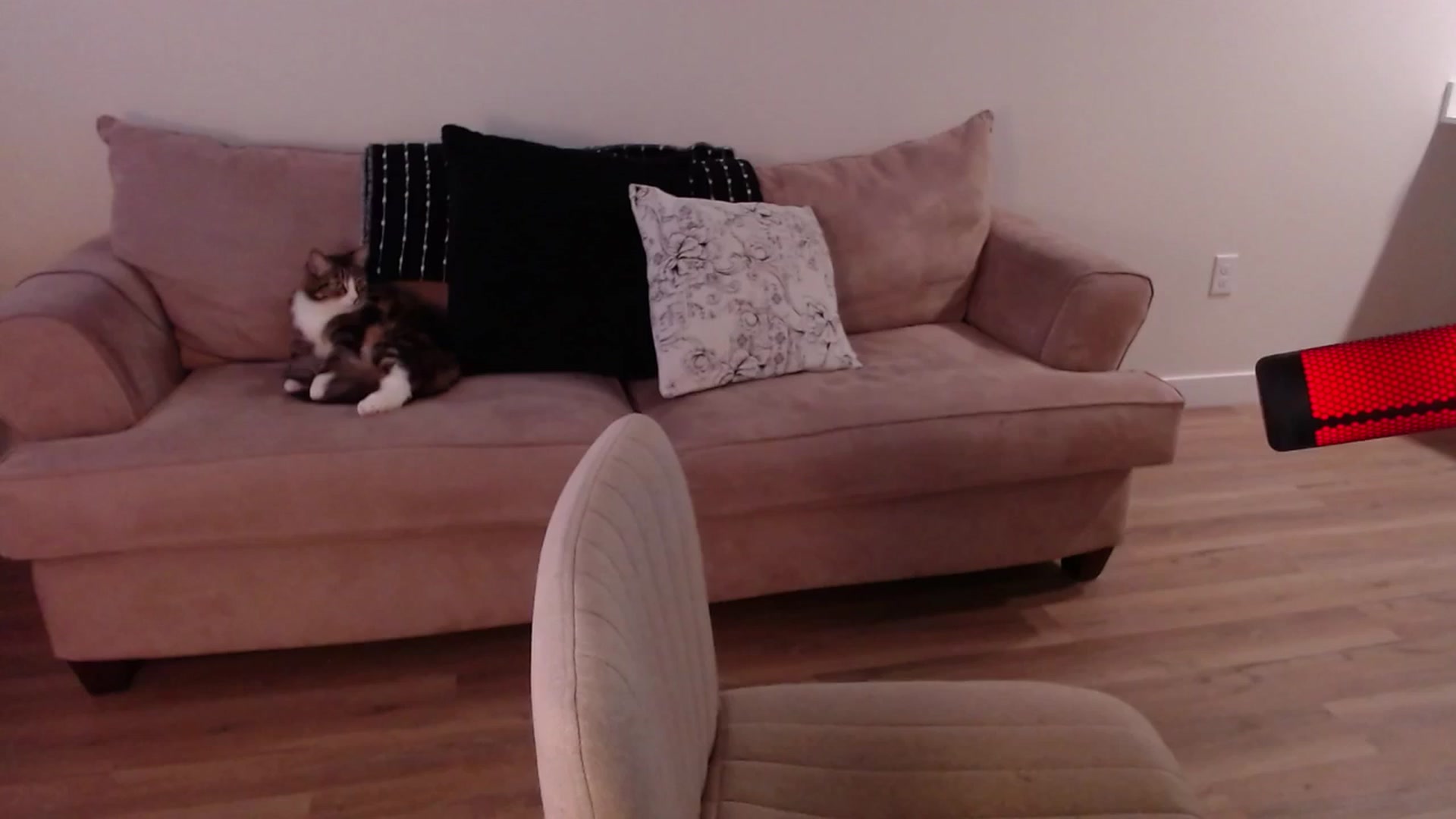 Gallery image thumbnail from cuteholly's myfreecams stream on, 01/24/2024, 22:24 image 5 of 20