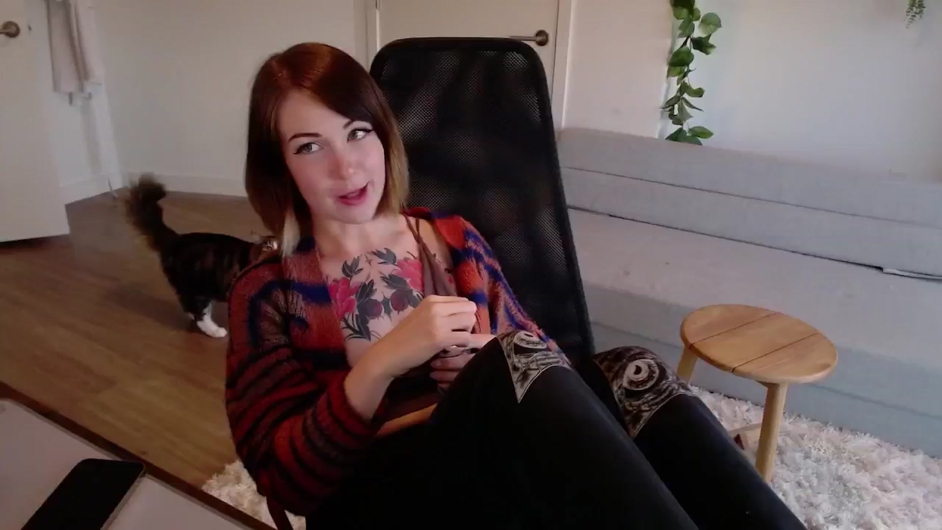 Gallery image thumbnail from cuteholly's myfreecams stream on, 06/20/2024, 01:58 image 1 of 20