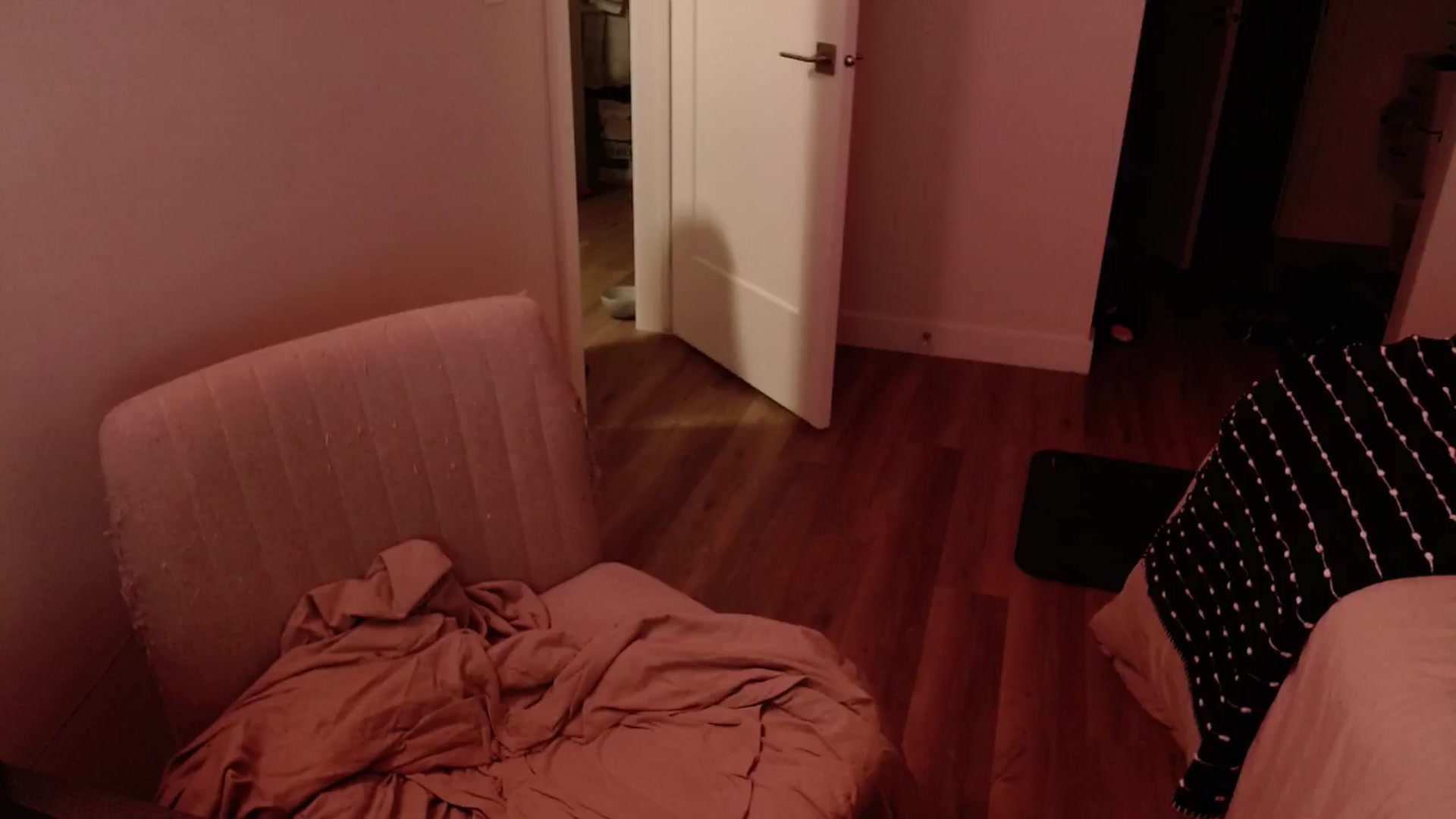 Gallery image thumbnail from cuteholly's myfreecams stream on, 07/08/2024, 06:27 image 9 of 20
