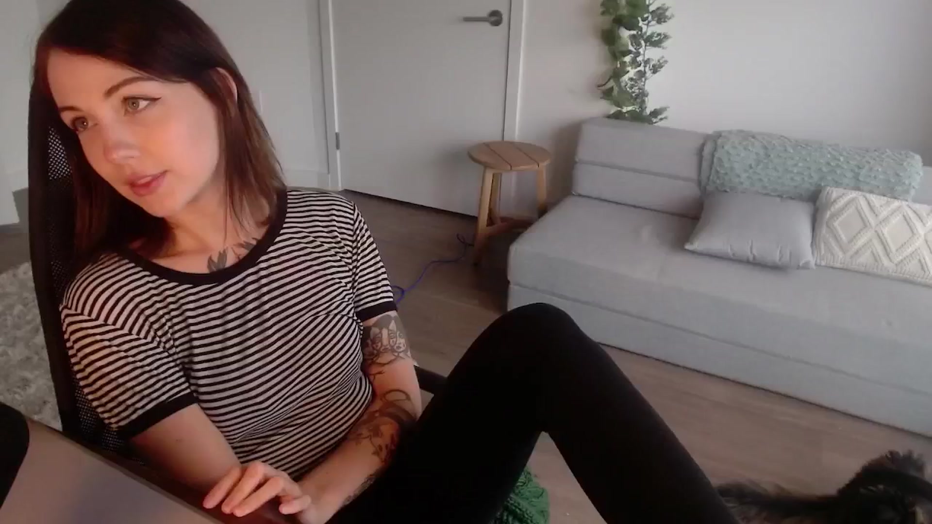 Gallery image thumbnail from cuteholly's myfreecams stream on, 10/09/2024, 19:29 image 16 of 20