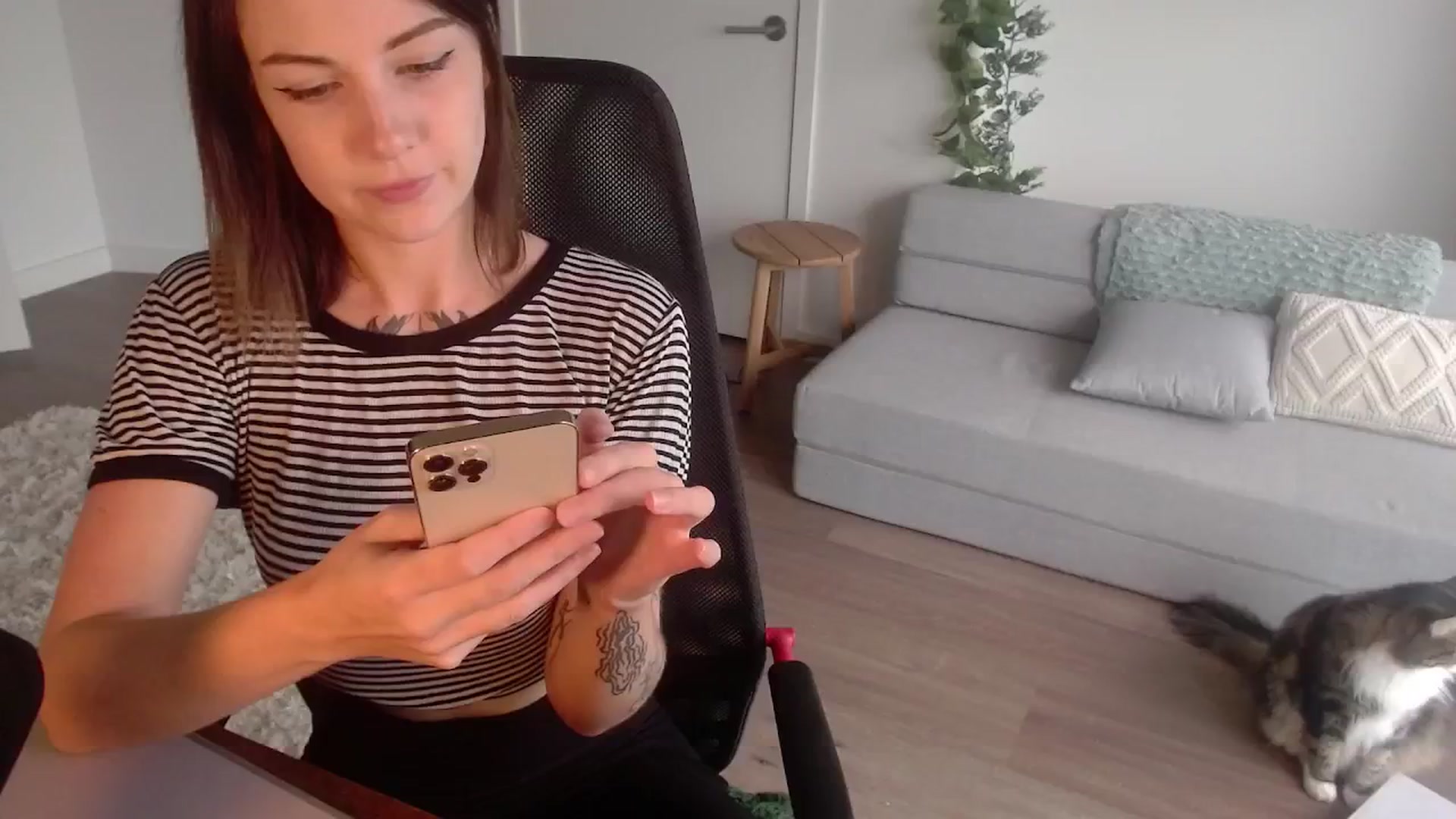 Gallery image thumbnail from cuteholly's myfreecams stream on, 10/09/2024, 19:29 image 12 of 20