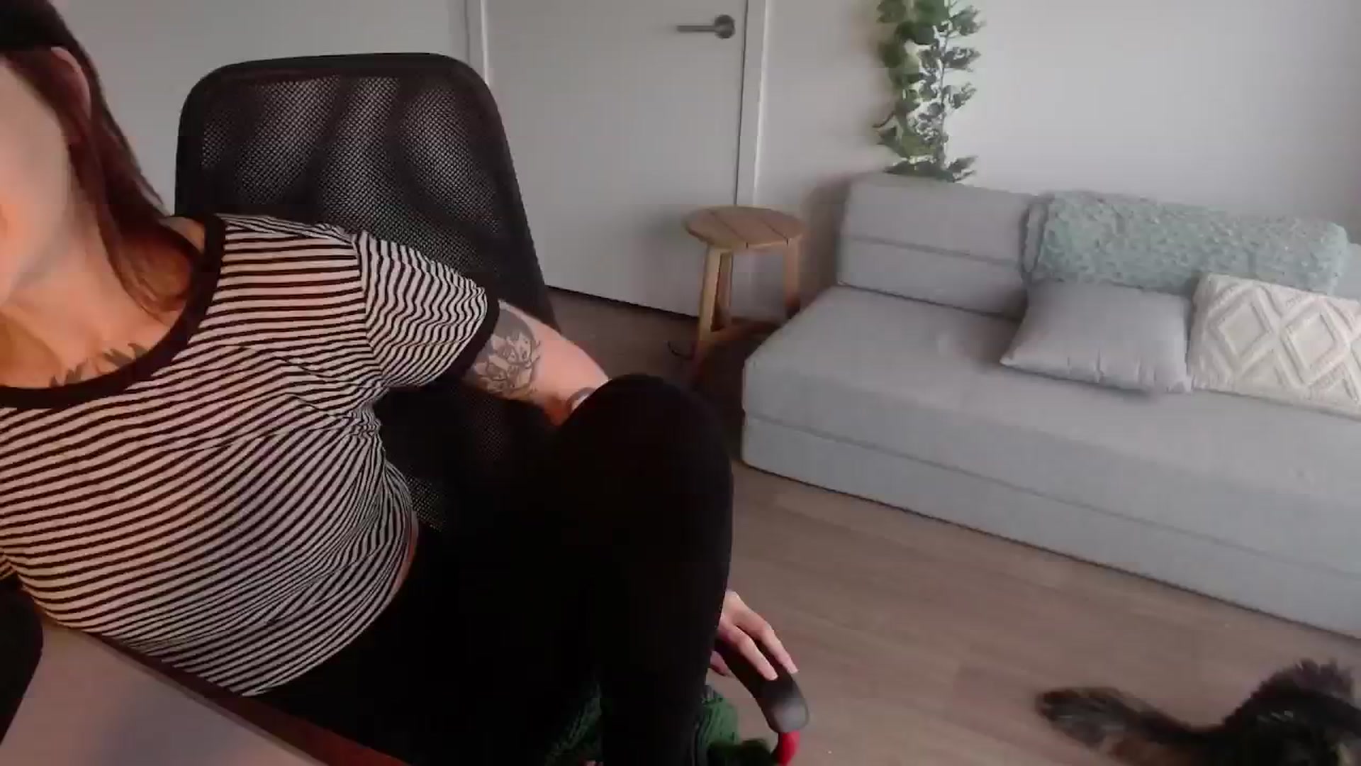 Gallery image thumbnail from cuteholly's myfreecams stream on, 10/09/2024, 19:29 image 17 of 20