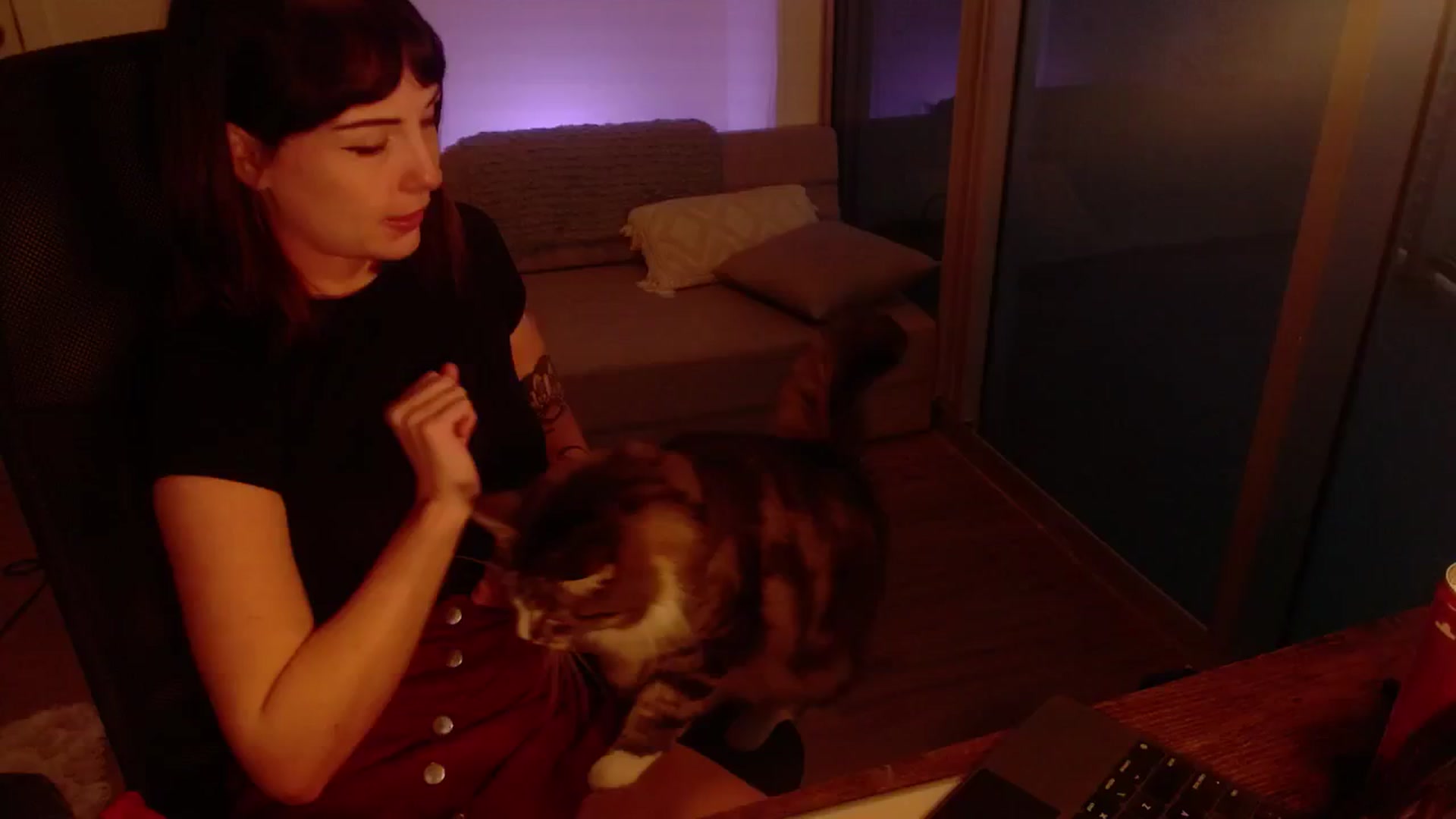 Gallery image thumbnail from cuteholly's myfreecams stream on, 10/18/2024, 22:25 image 16 of 20