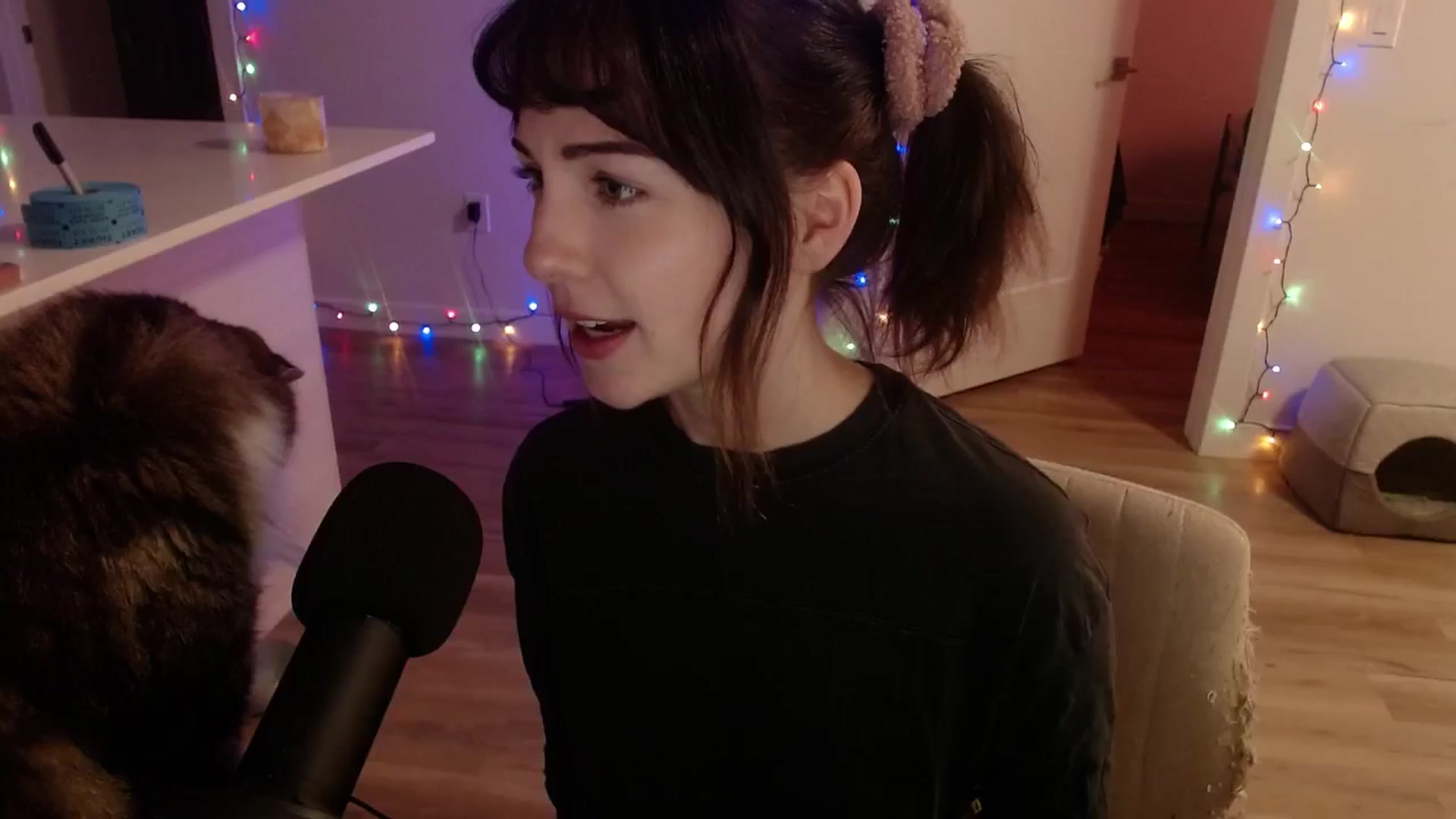 Gallery image thumbnail from cuteholly's myfreecams stream on, 11/08/2024, 08:18 image 13 of 20