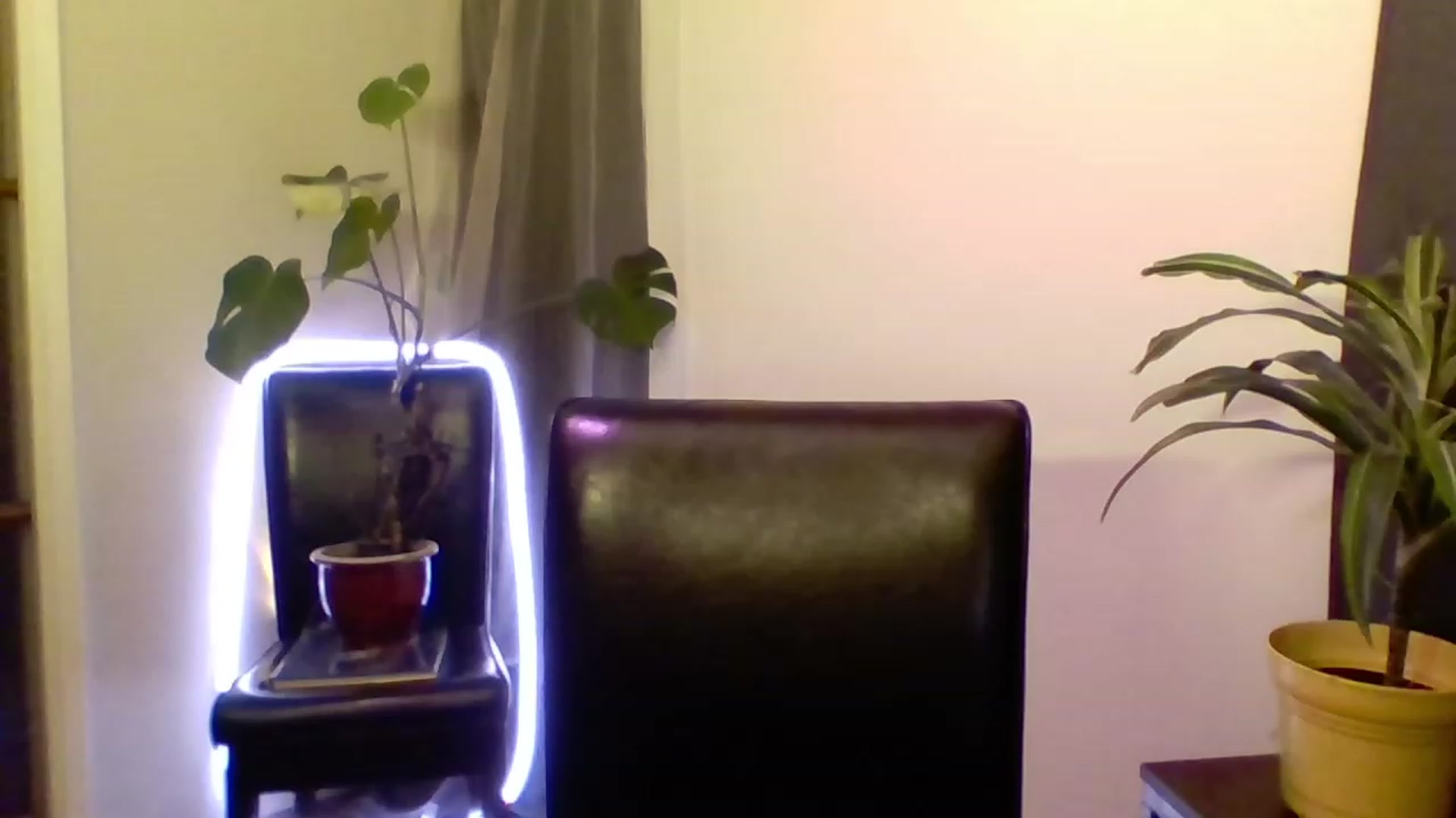 Gallery image thumbnail from cutemuse's myfreecams stream on, 12/31/2022, 02:41 image 10 of 20