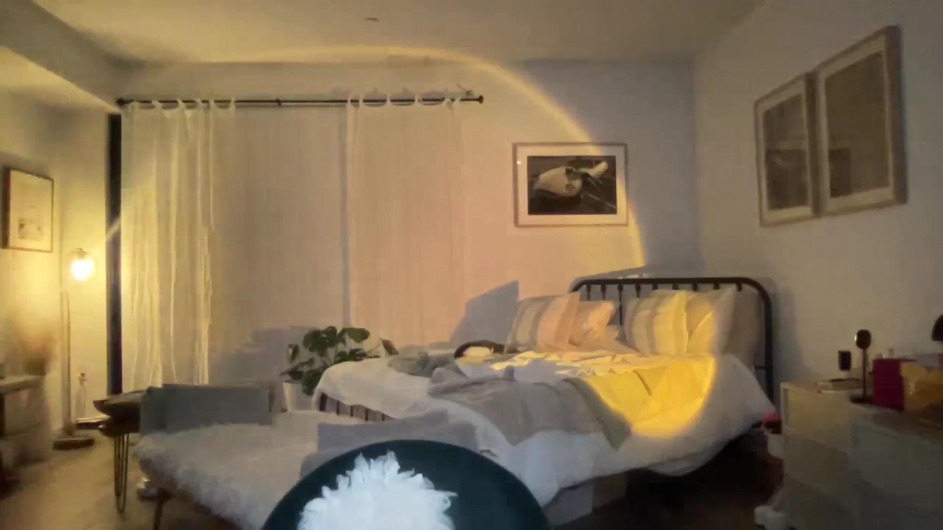 Gallery image thumbnail from cutiepiekayla's myfreecams stream on, 01/09/2024, 13:32 image 12 of 20