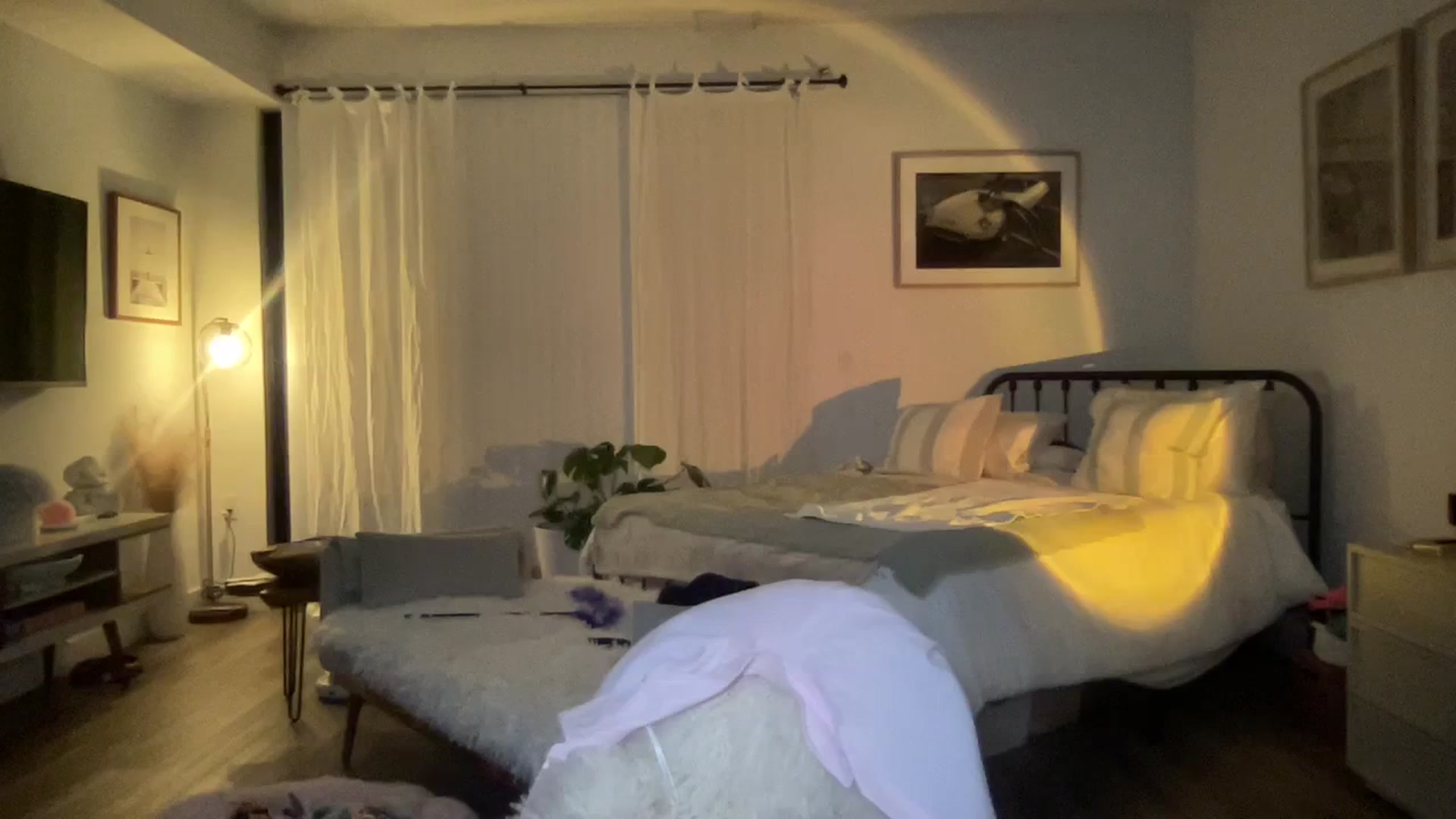Gallery image thumbnail from cutiepiekayla's myfreecams stream on, 01/10/2024, 06:35 image 11 of 20