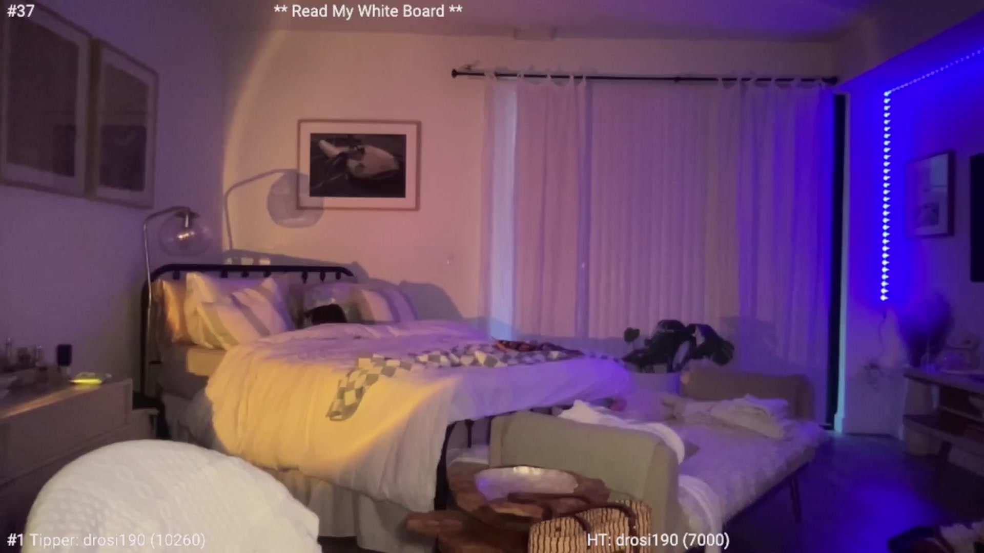 Gallery image thumbnail from cutiepiekayla's myfreecams stream on, 02/20/2024, 01:23 image 13 of 20
