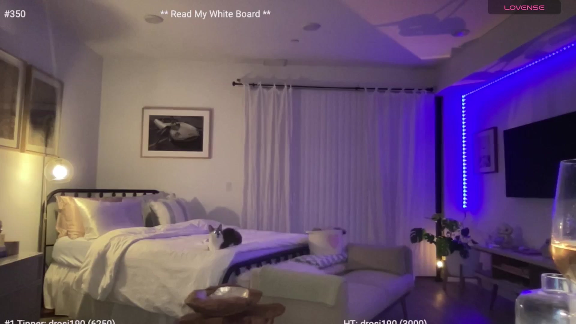 Gallery image thumbnail from cutiepiekayla's myfreecams stream on, 04/24/2024, 05:39 image 13 of 20