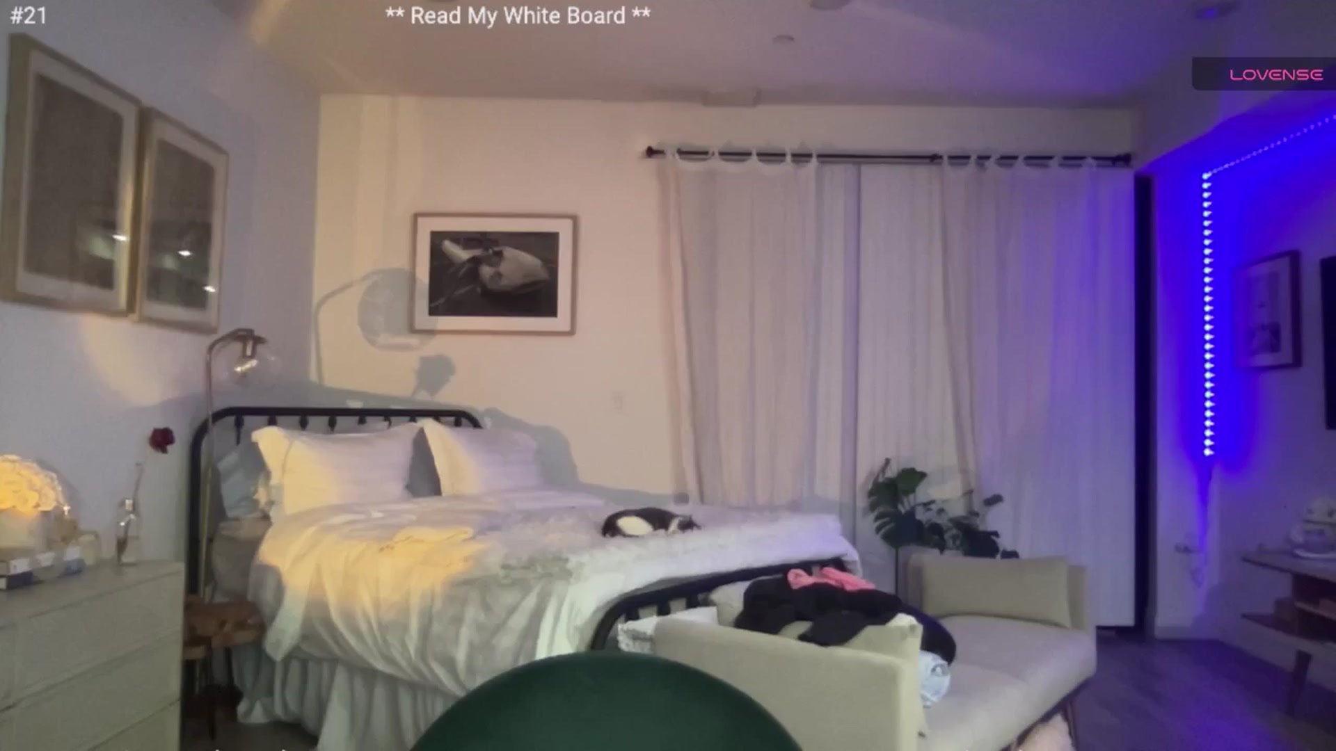 Gallery image thumbnail from cutiepiekayla's myfreecams stream on, 05/15/2024, 07:18 image 20 of 20